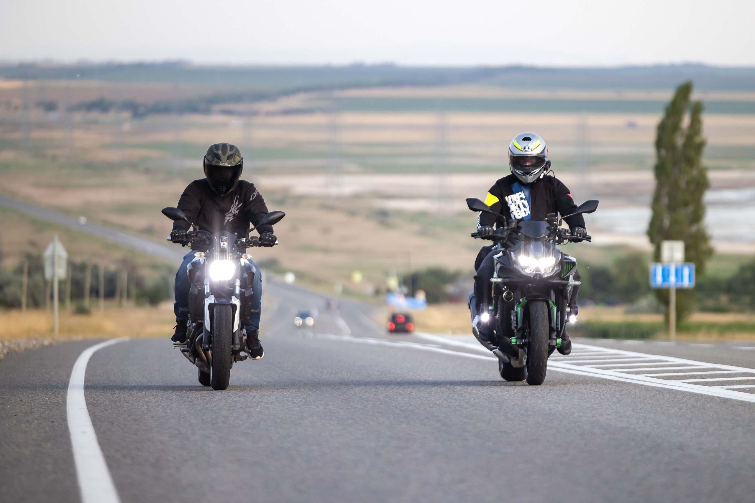 Южное мини-сафари в Тамани. Июль 2024. Фотограф Владимир Охрименко