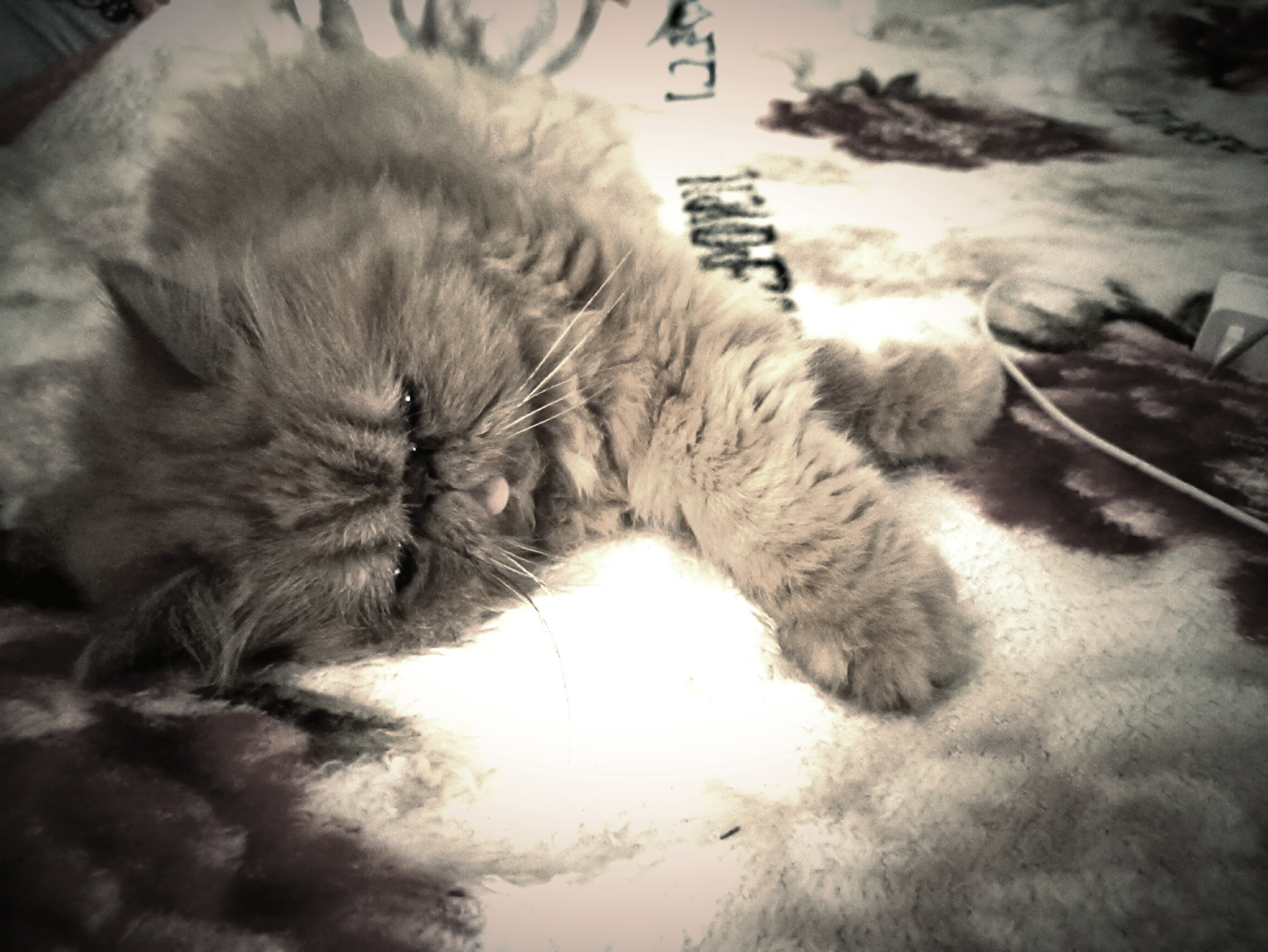 Творческий подход. Фотограф г. Владивосток