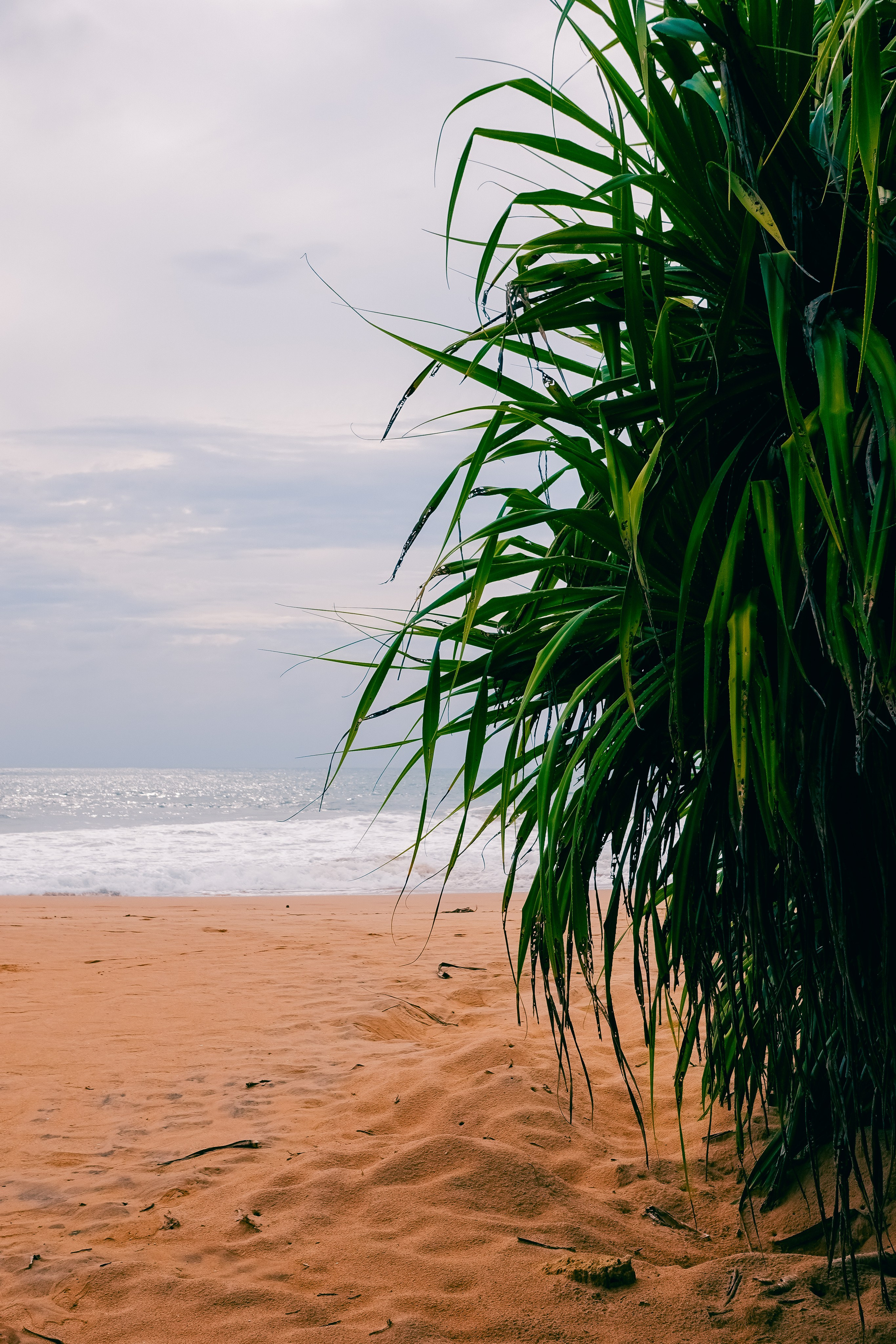 Шри-Ланка. Фотограф Алиса Аспер