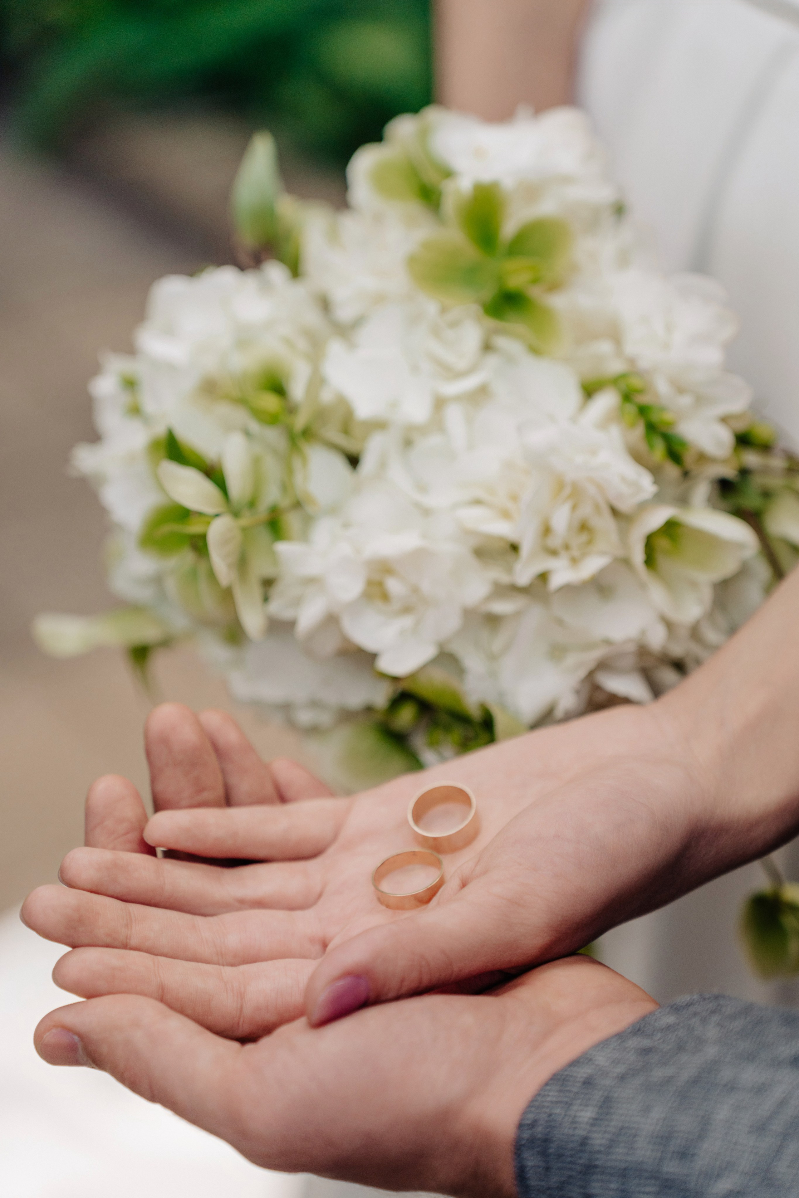 Свадебная в оранжерее. Михаил и Виктория. Фотограф Сергей Лукьяненко