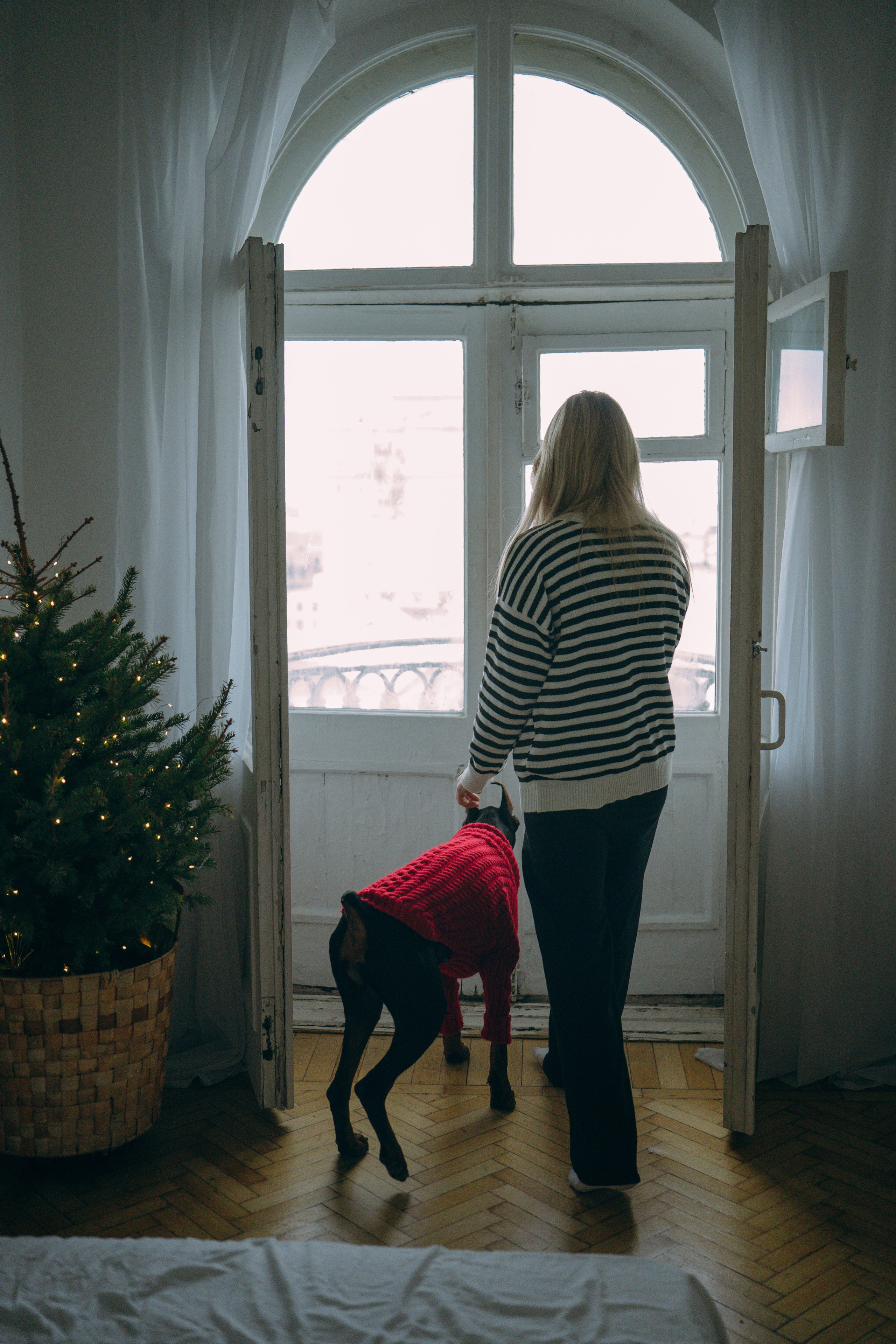 Саша и Асти. Фотограф анималист в Москве и Санкт-Петербурге Свиридова Анна