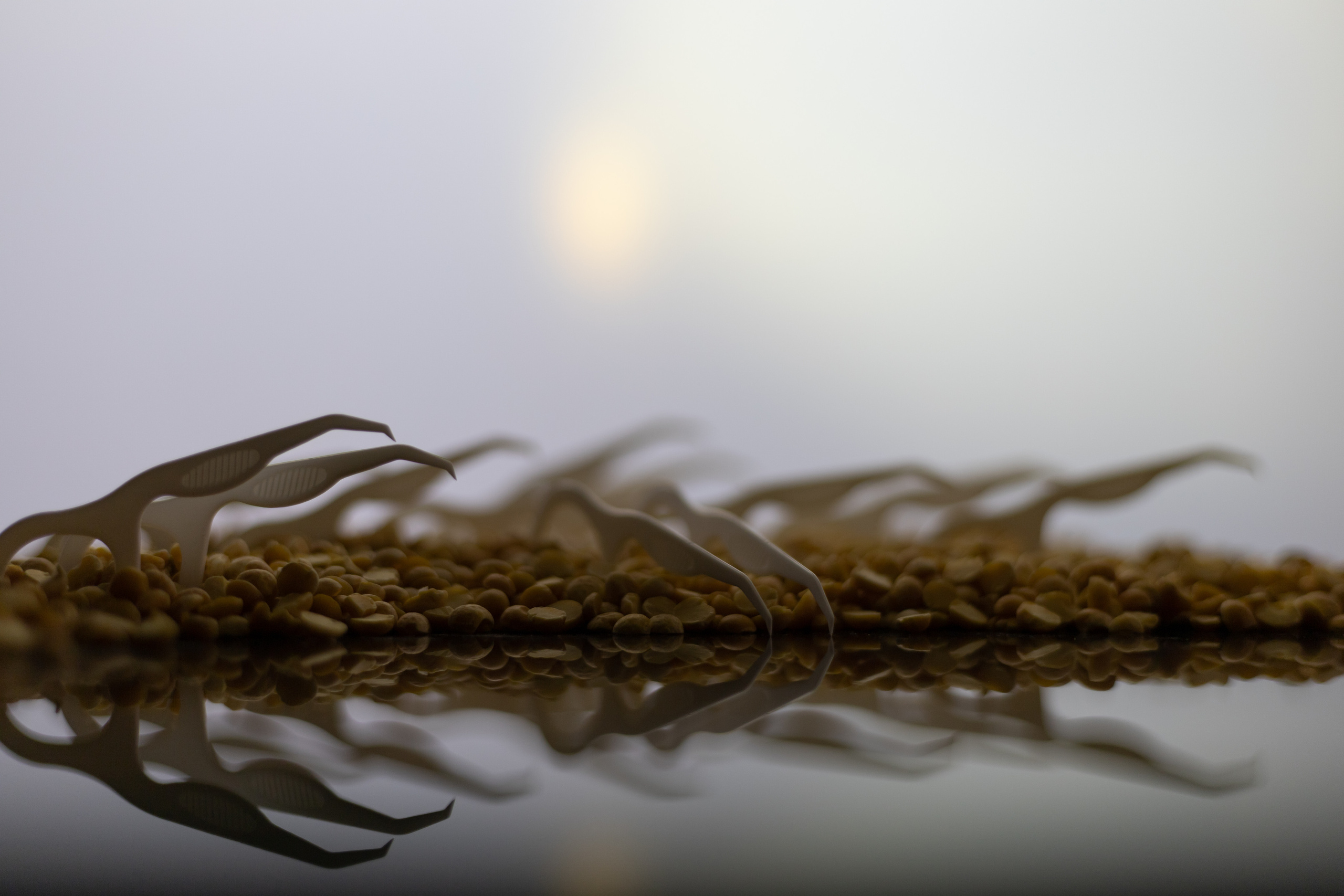 Арт фотография. Фотограф в Москве Катарина Крук