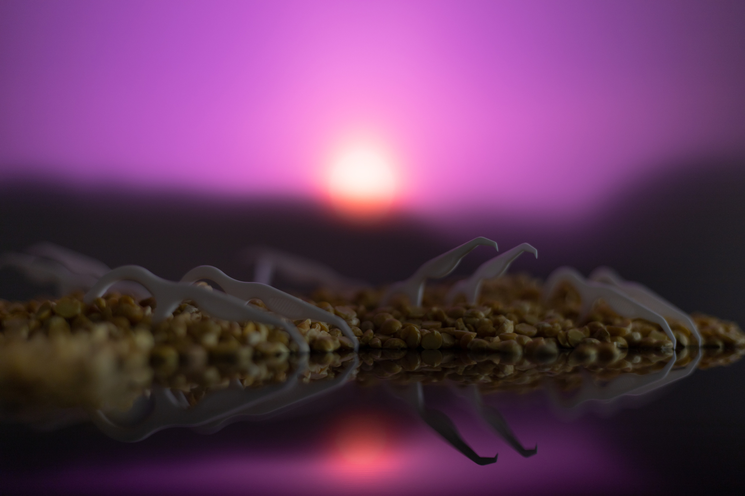 Арт фотография. Фотограф в Москве Катарина Крук