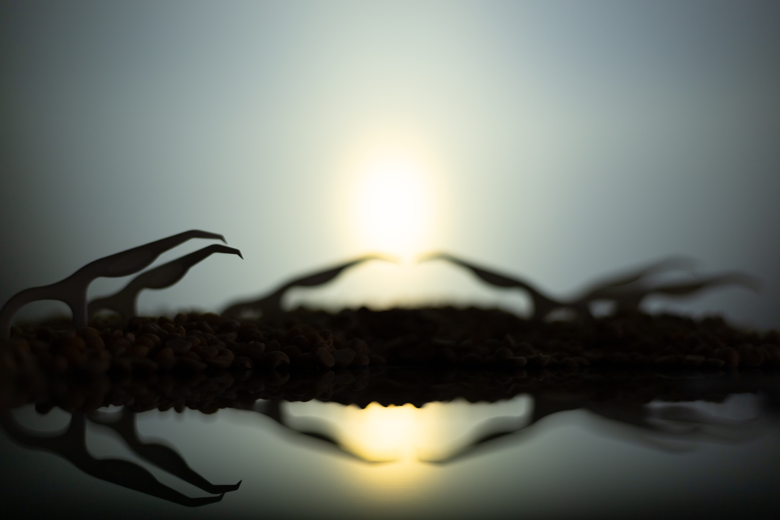 Арт фотография. Фотограф в Москве Катарина Крук