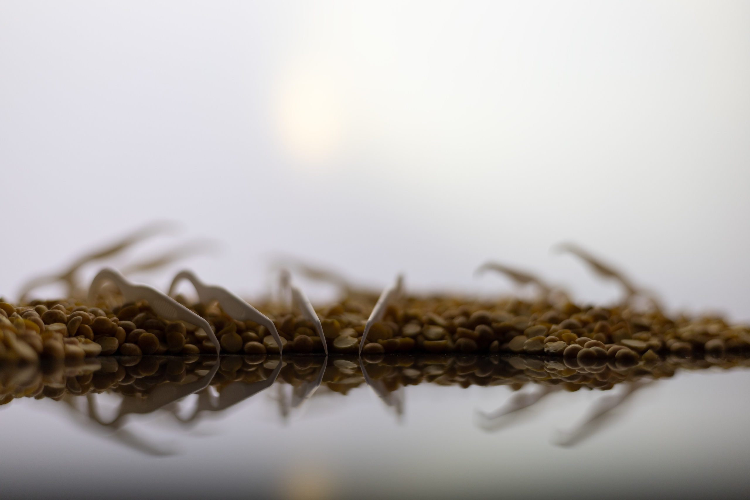 Арт фотография. Фотограф в Москве Катарина Крук