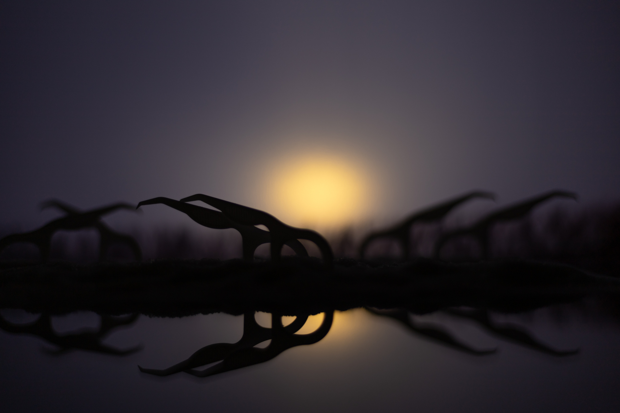 Арт фотография. Фотограф в Москве Катарина Крук