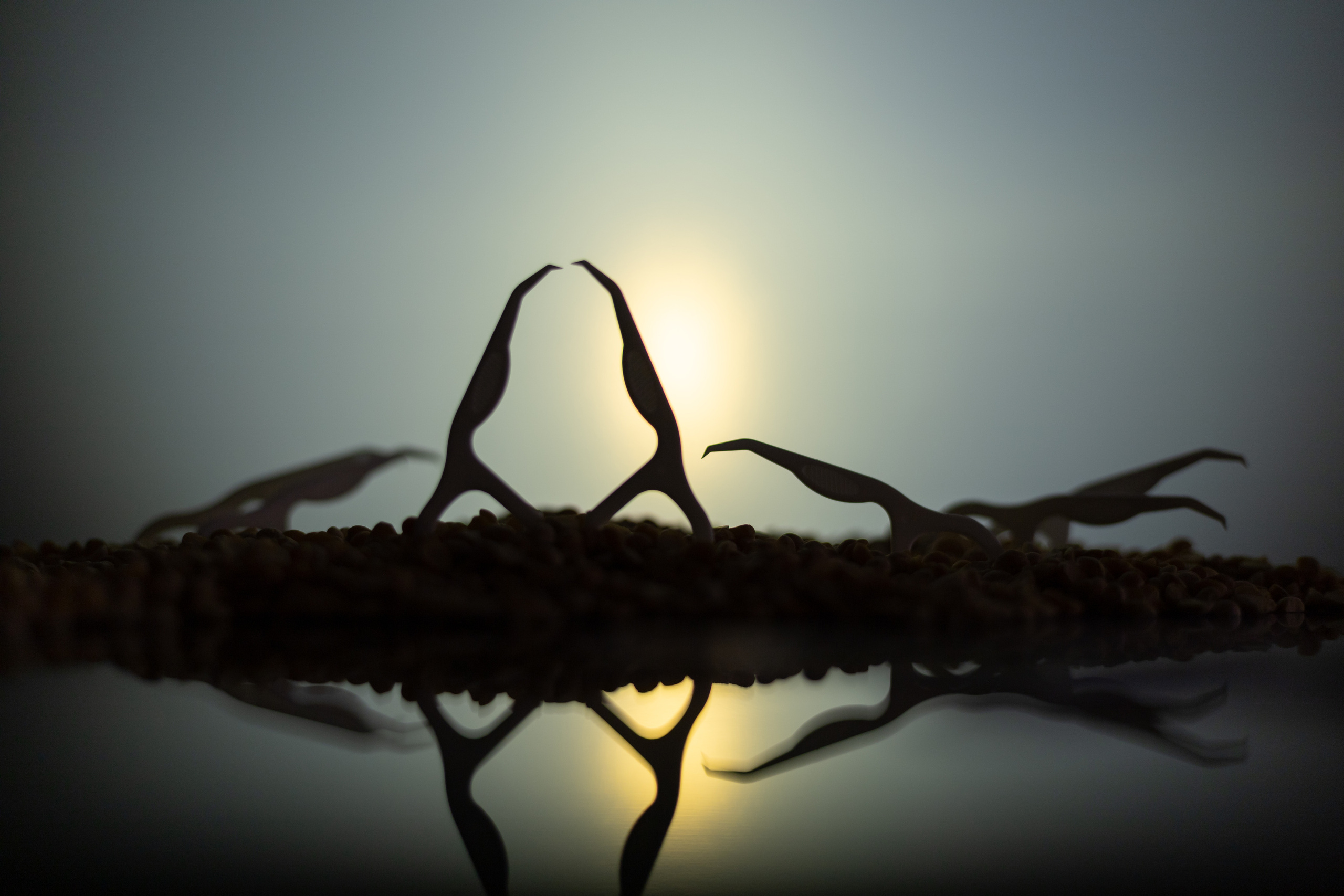 Арт фотография. Фотограф в Москве Катарина Крук