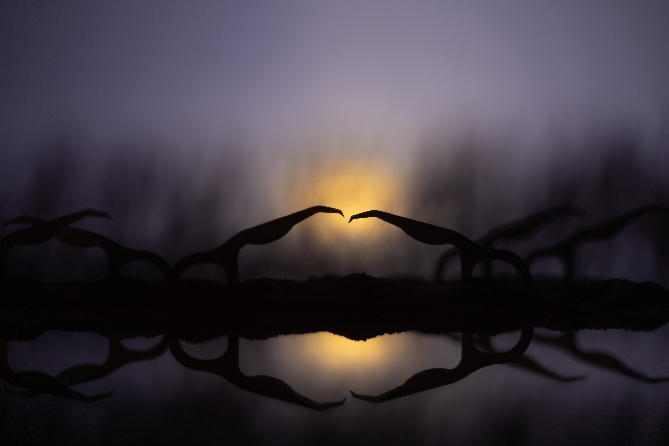 Арт фотография. Фотограф в Москве Катарина Крук