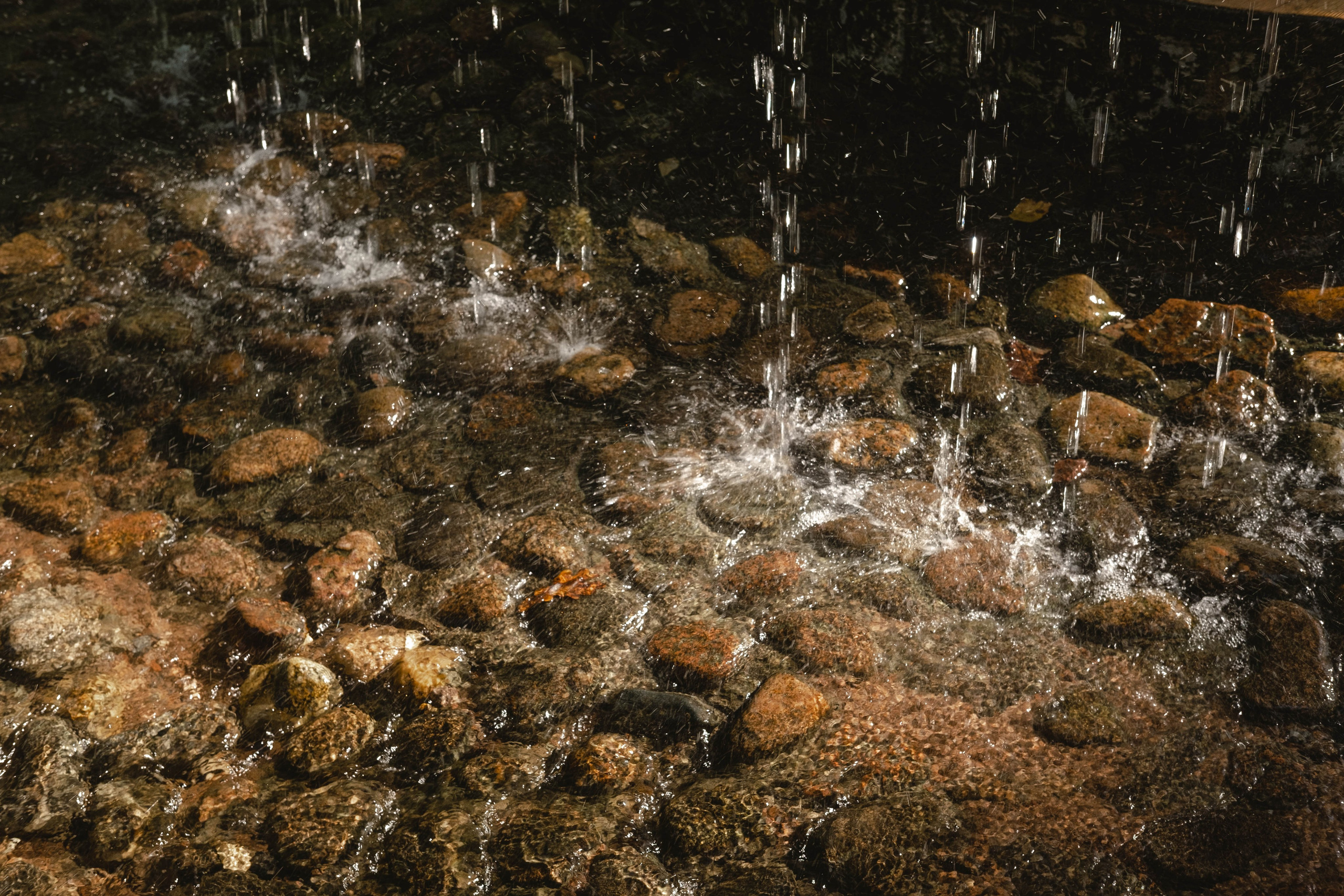 Питер 2024. Свадебный и семейный фотограф в Новосибирске, Санкт-Петербурге, Москве