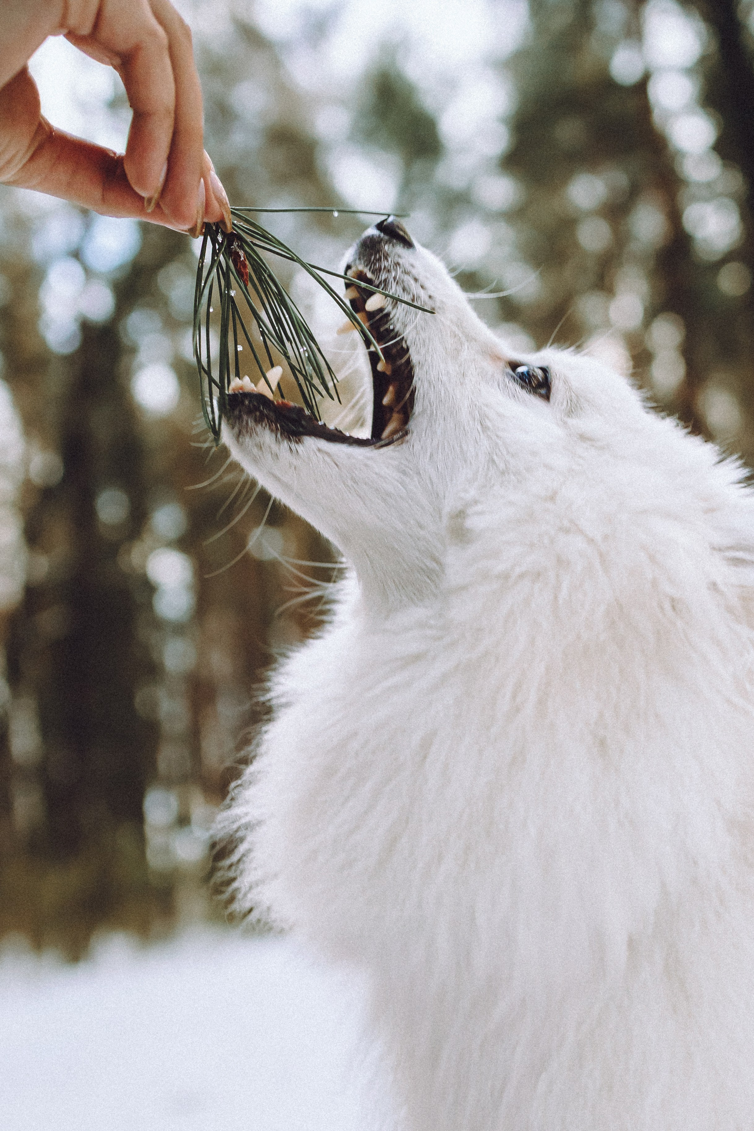 Шани и ее семья