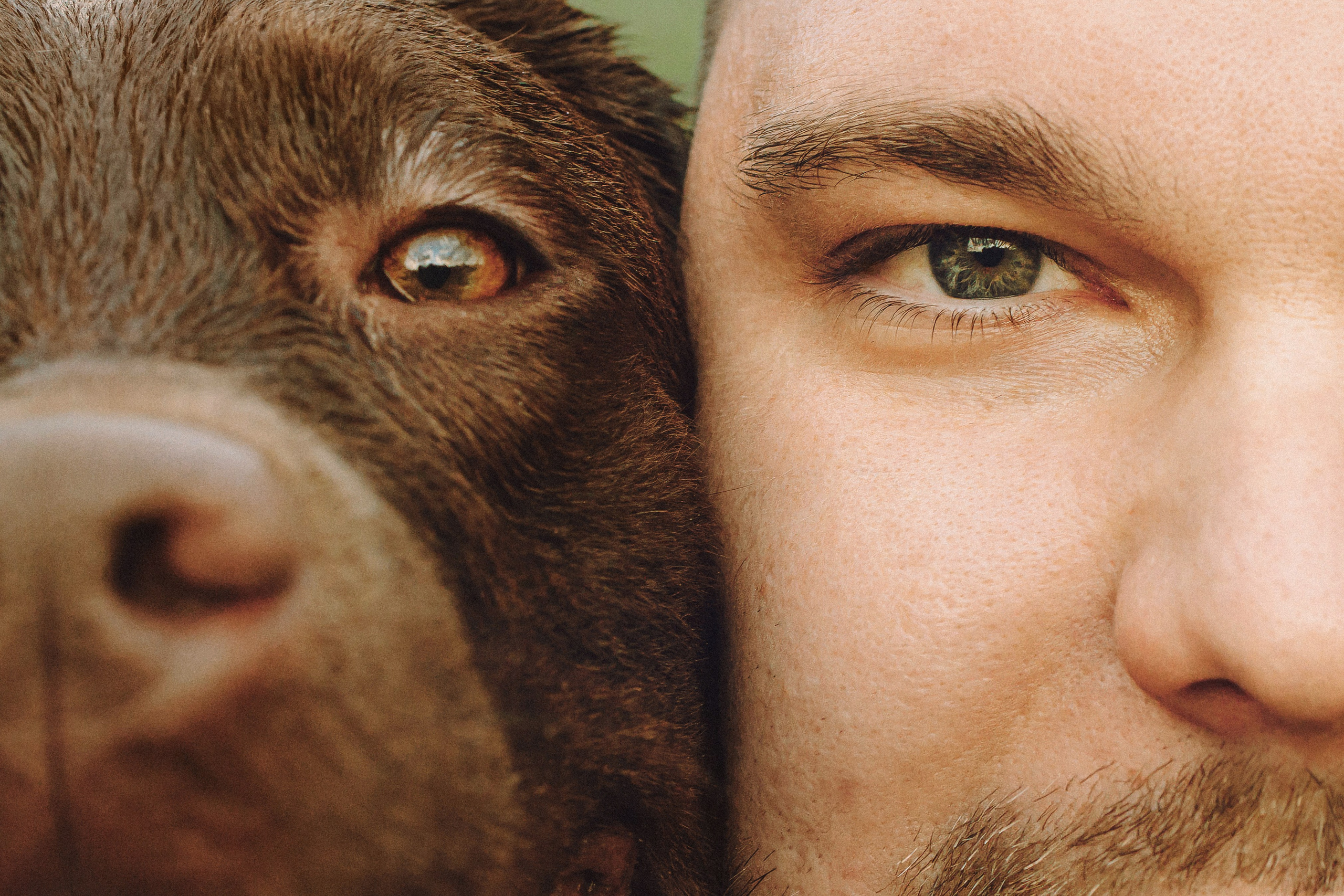 Катя, Ваня и Джеси