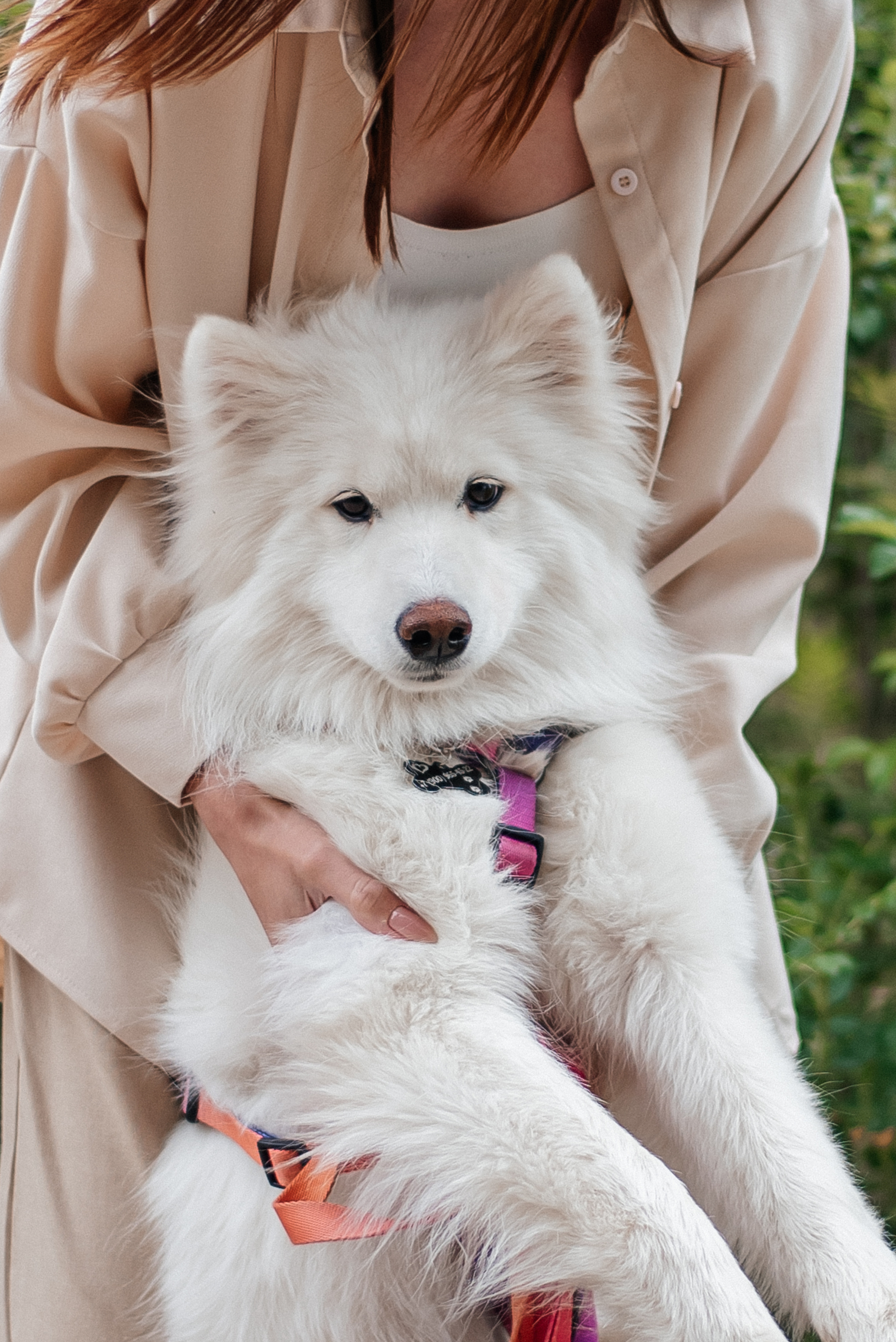 Прогулка. Свадебный фотограф в Рязани Дзюрак Елизавета