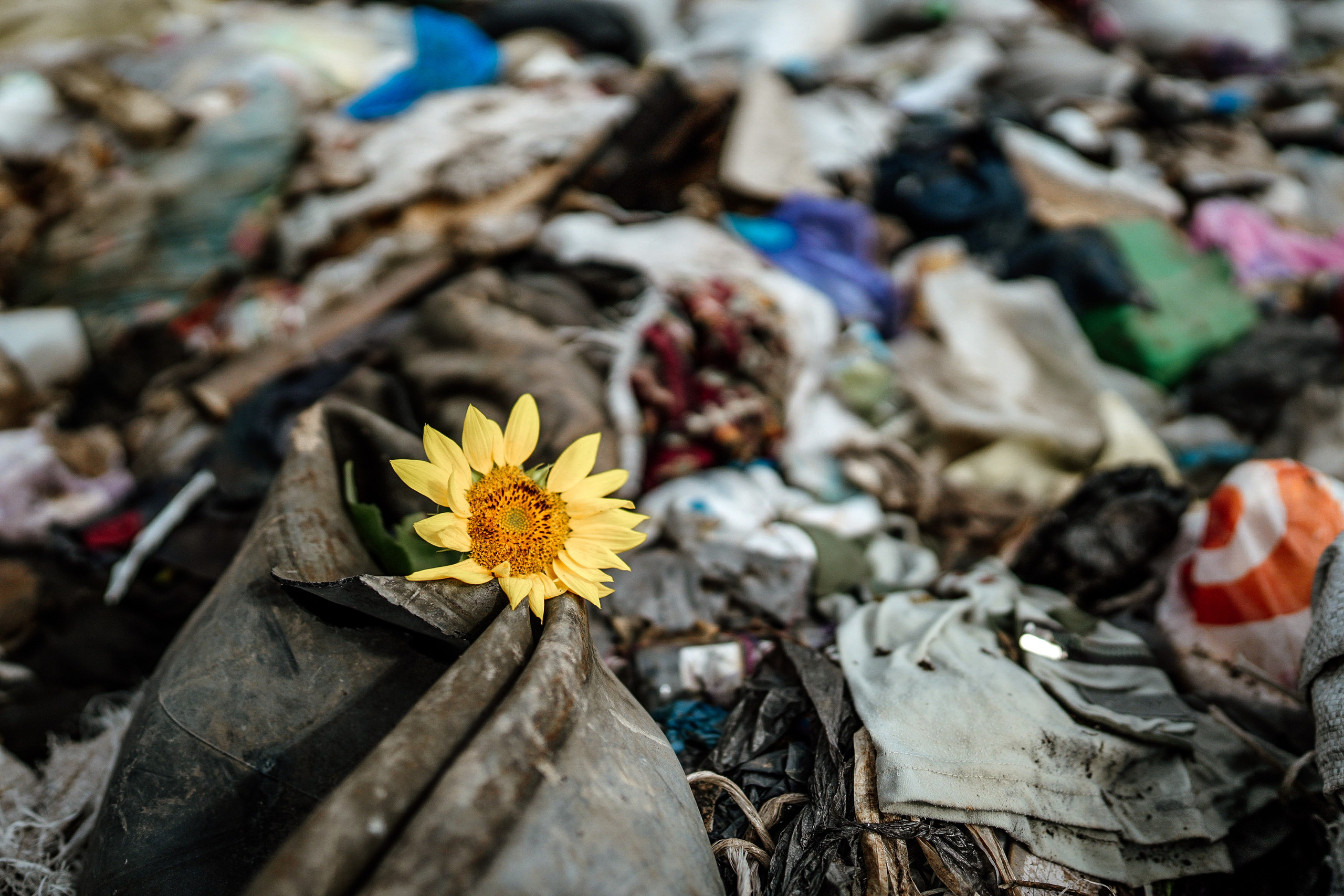 МусорАрт. Фотоким