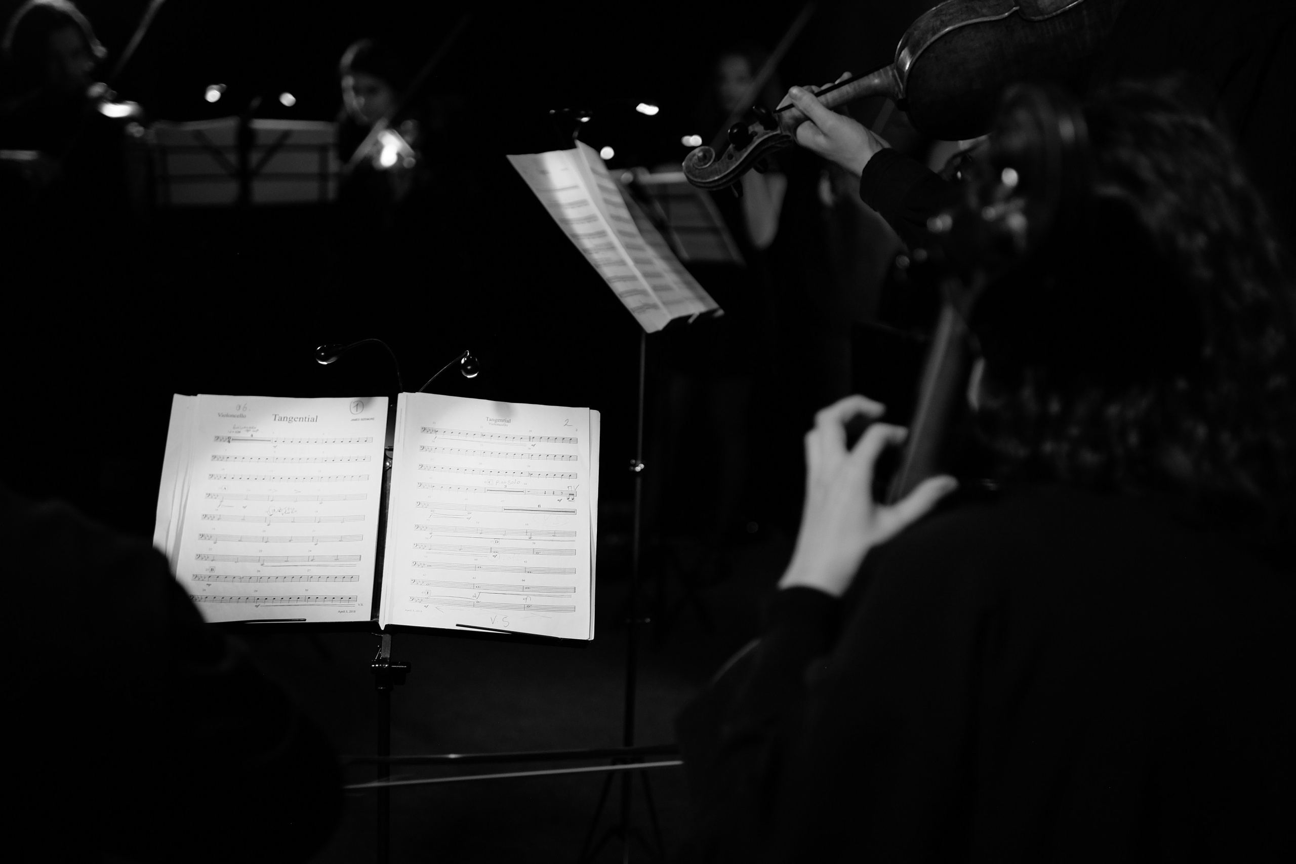 Classic music concerts at Cereteli`s Gallery/ Moscow/ 2023. Anna Fedo Photo