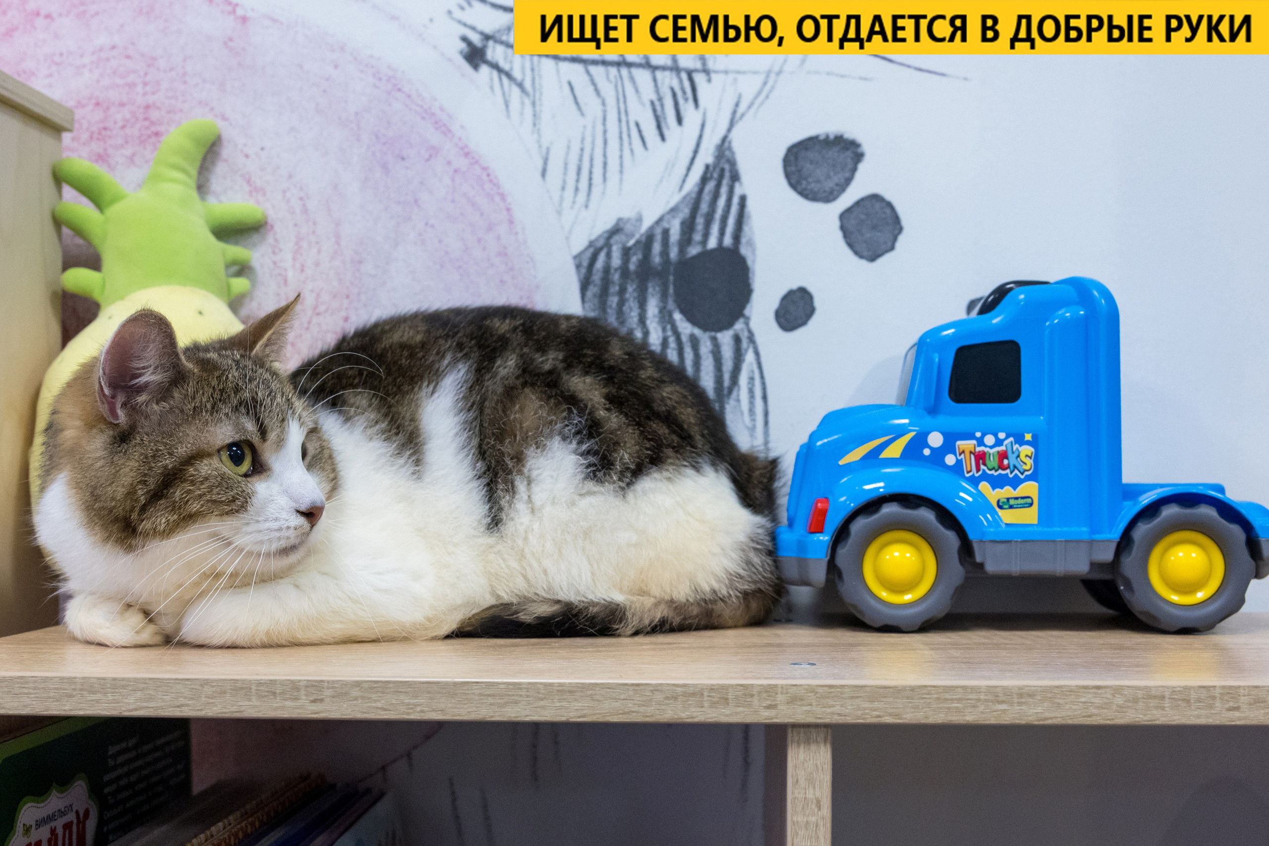 Рекламная съемка в Москве. Геннадий Степанов —фотограф в Москве
