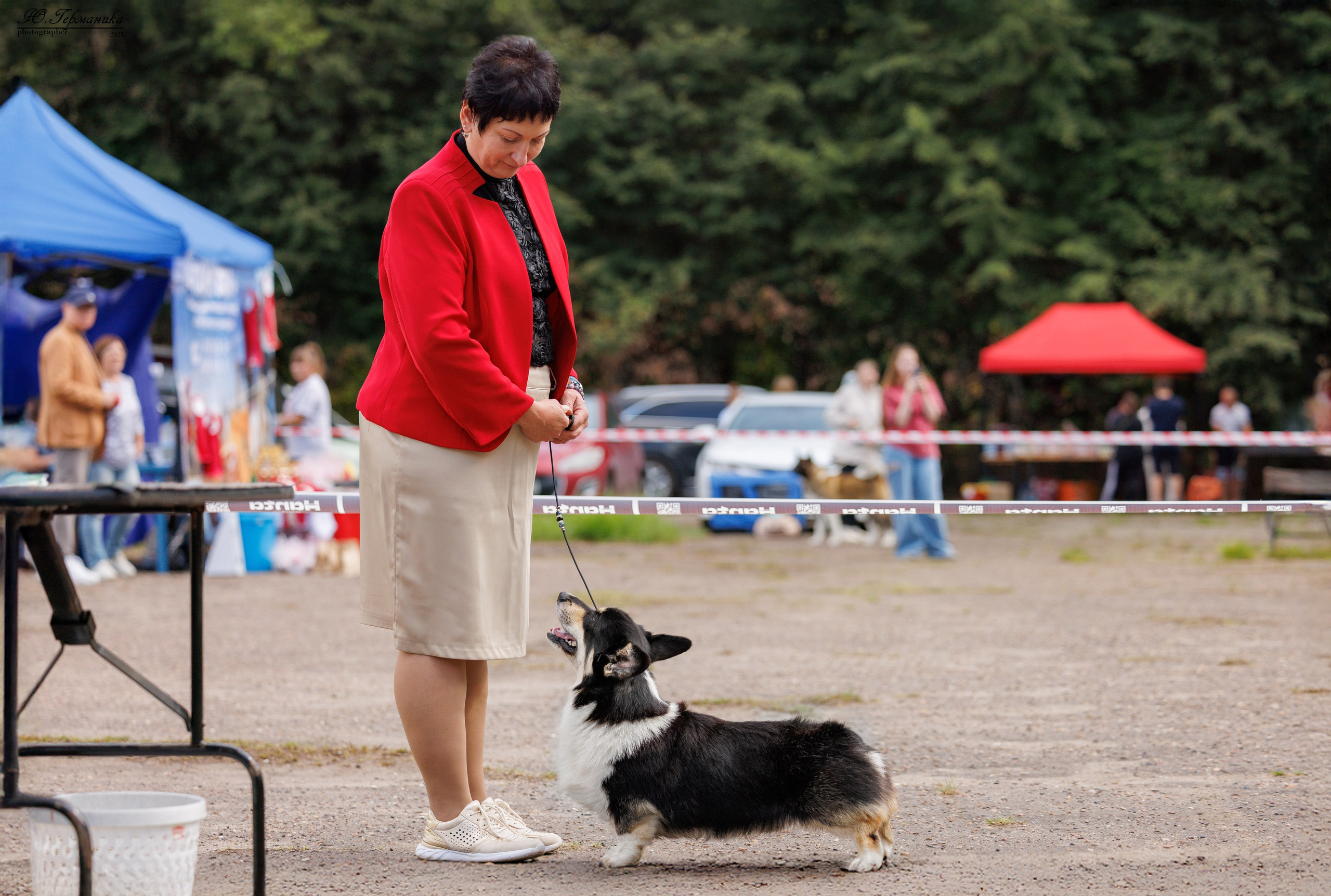 Тверь 10.08.2025. Фотограф-анималист Юлия Германика