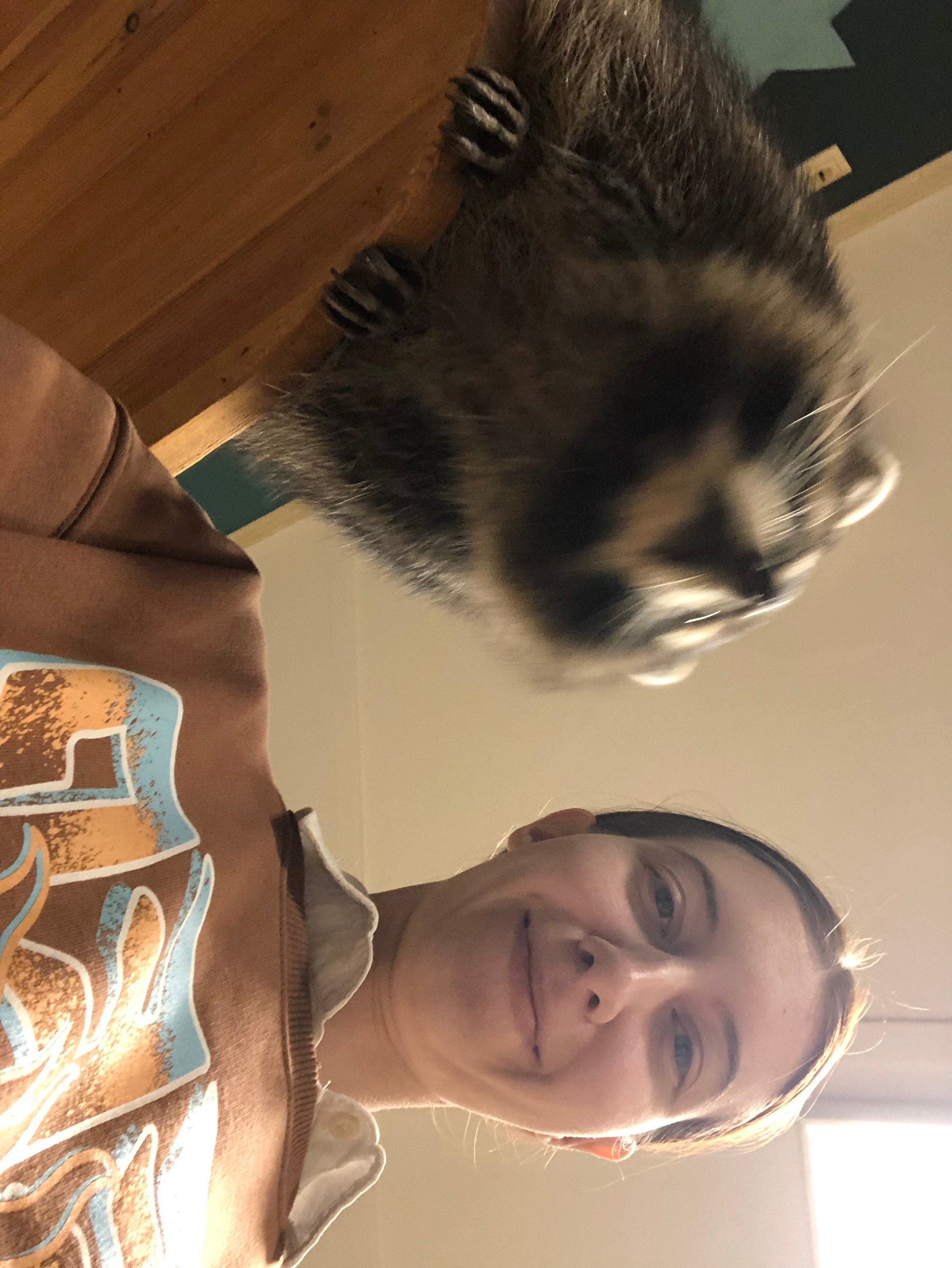 Ноябрь. Семейный, Свадебный фотограф СПБ Питер— Романова Екатерина