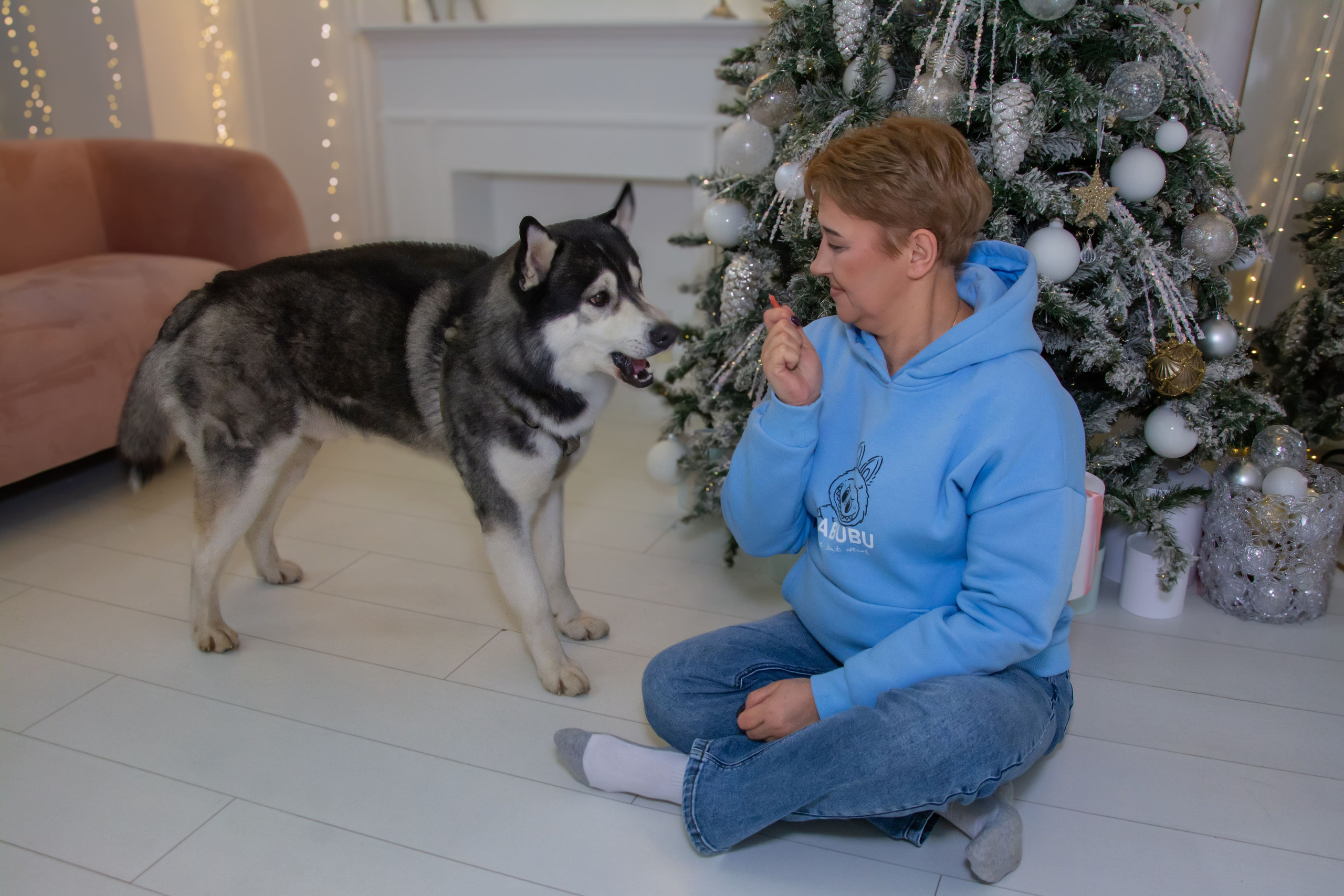 Новогодняя динамика: когда хаски Тор подарил нам море энергии и смеха!. Профессиональный фотограф Евгения Бусова в Москве. Семейные, индивидуальные, репортажные и другие фотосессии с душой. 📸