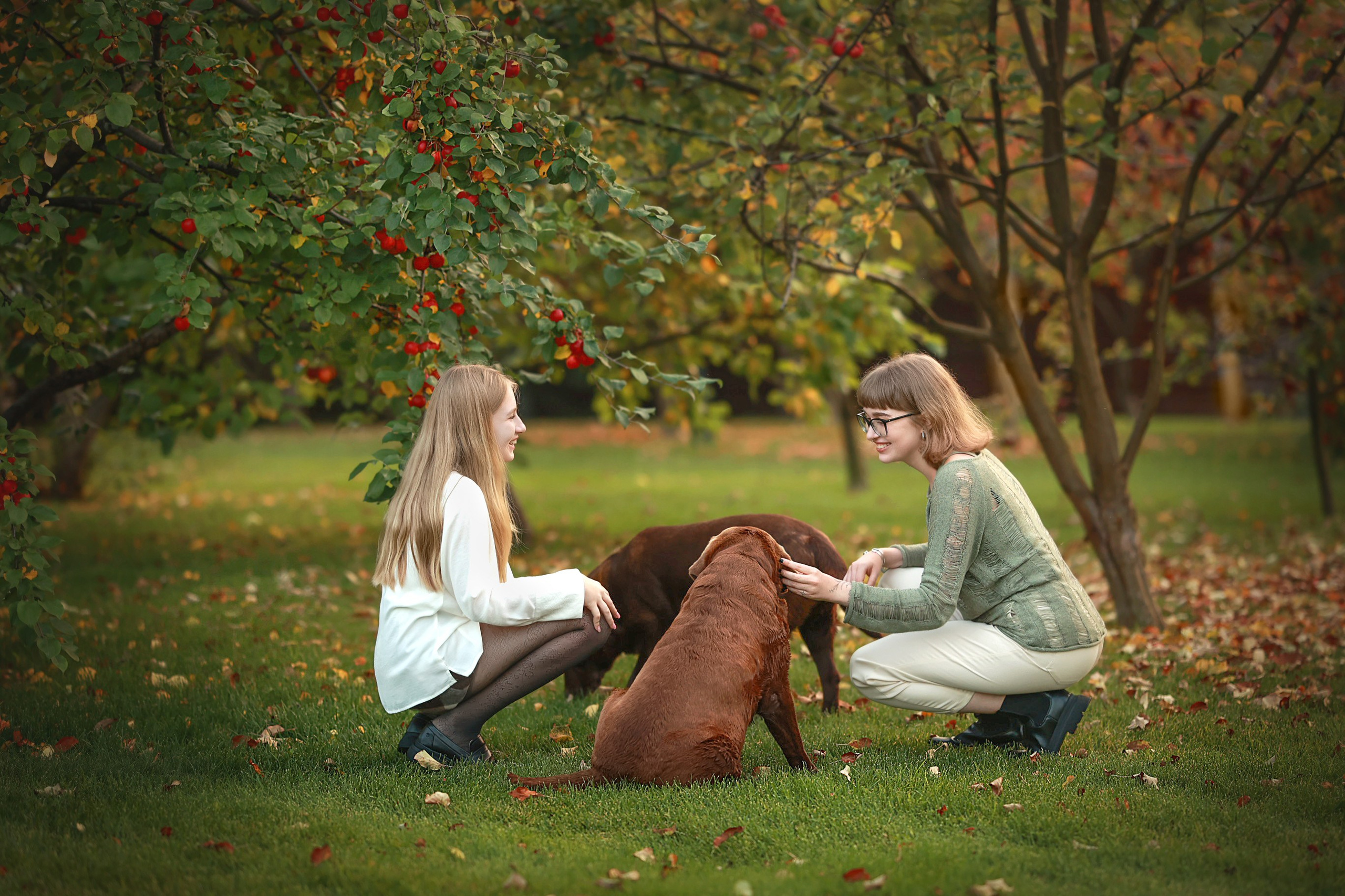 Семья Прохоровых. Семейный и детский фотограф в Перми Мария Карабатова