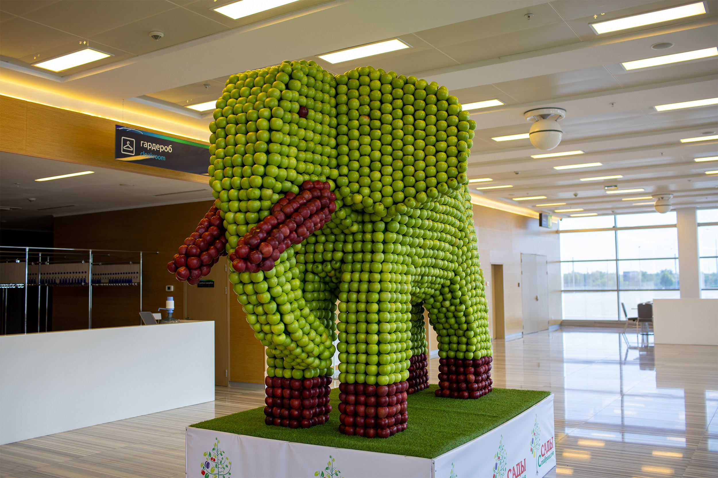 «ЭКСПО Мин Воды» — Pro яблоко. Медиапродюсер, фотограф в Минеральных Водах —Виктор Холодов