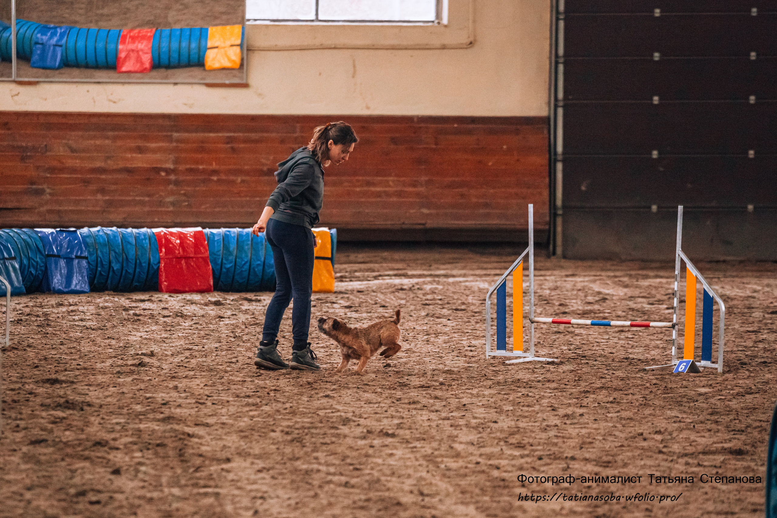 Соревнования по Аджилити 25.02.2024. Фотограф-анималист Татьяна Степанова