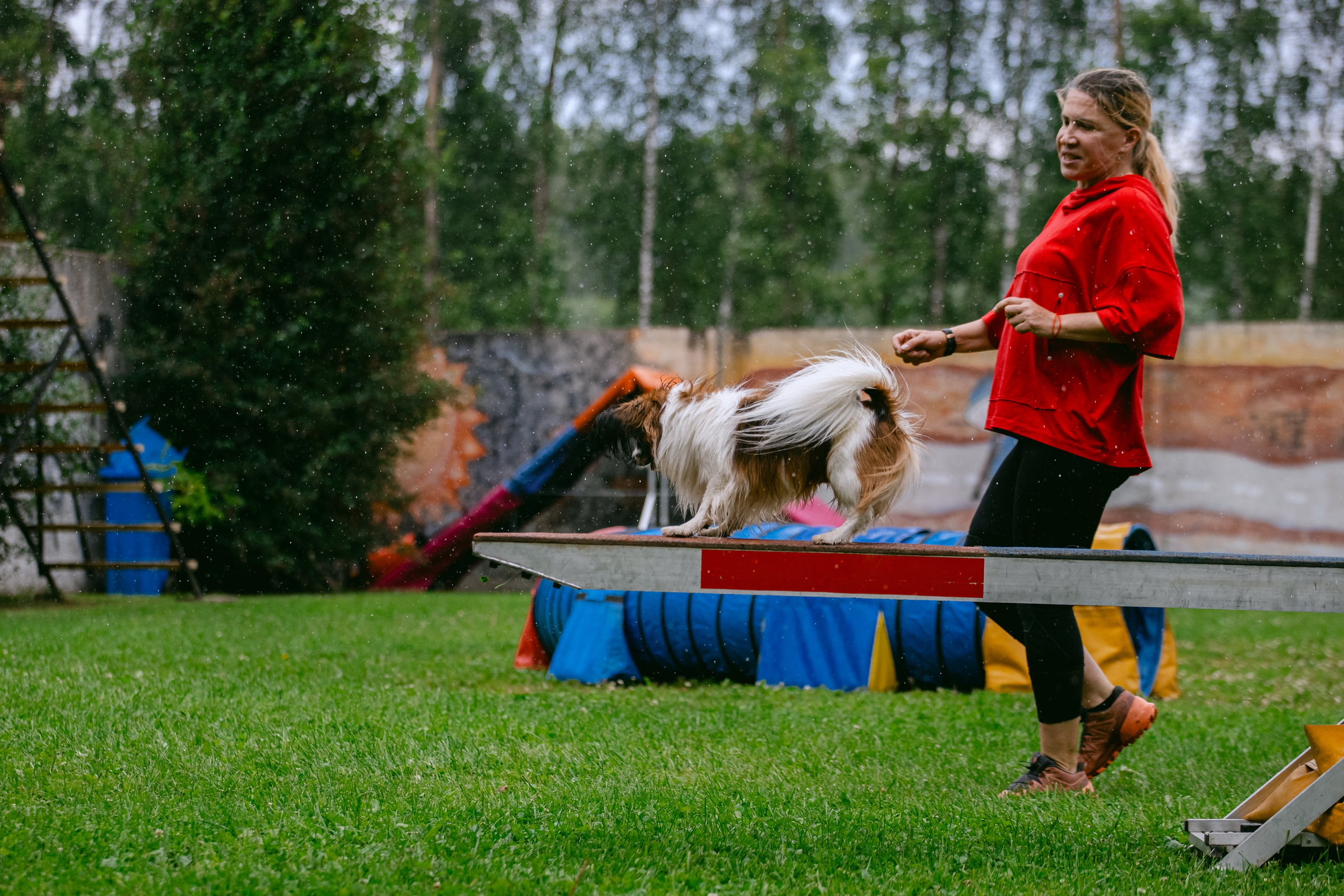 Соревнования по аджилити Долгопрудный 30.06.2025. Фотограф-анималист Татьяна Степанова