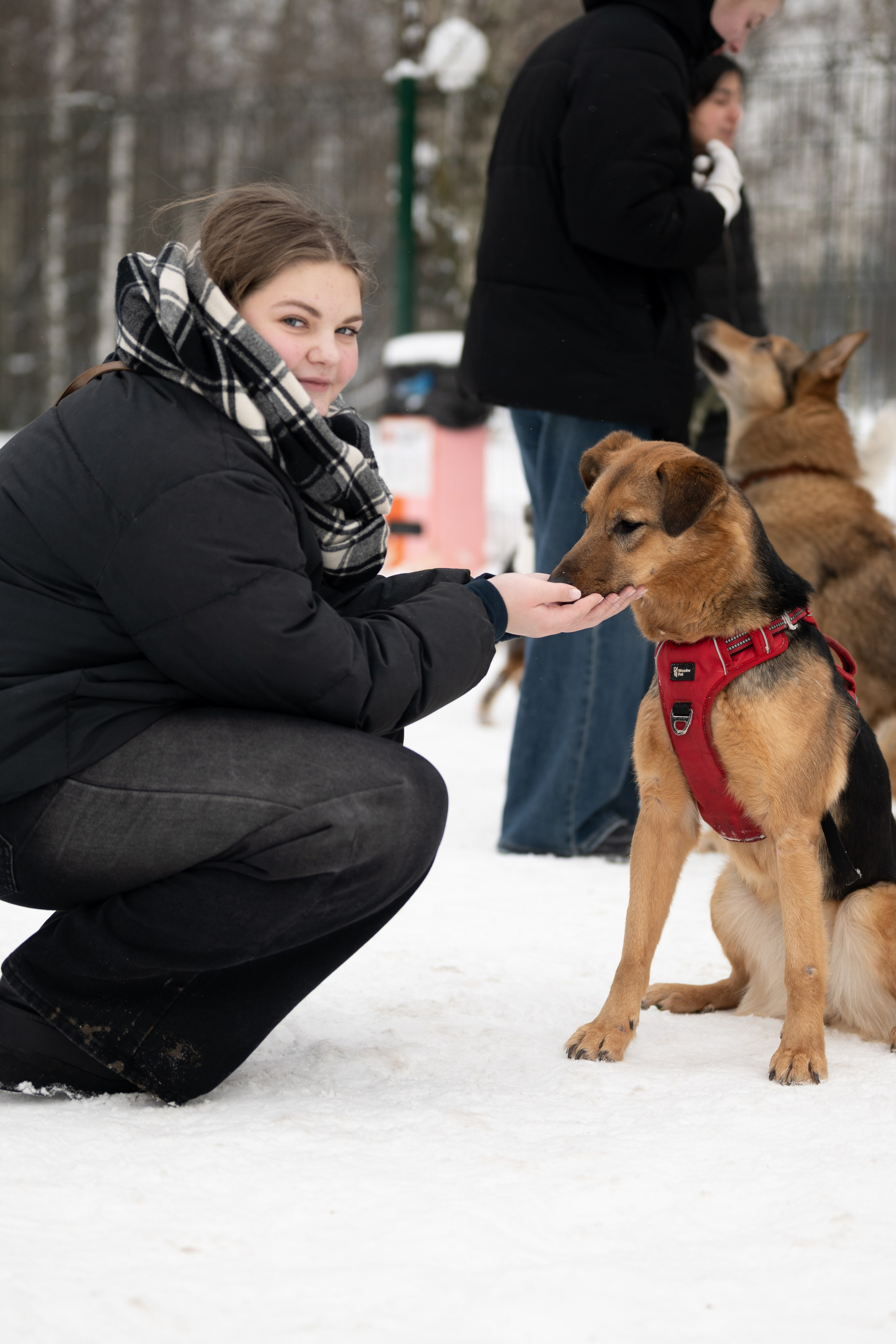 Приют «Искра». Фотограф и видеограф в Москве Анна Матюхина
