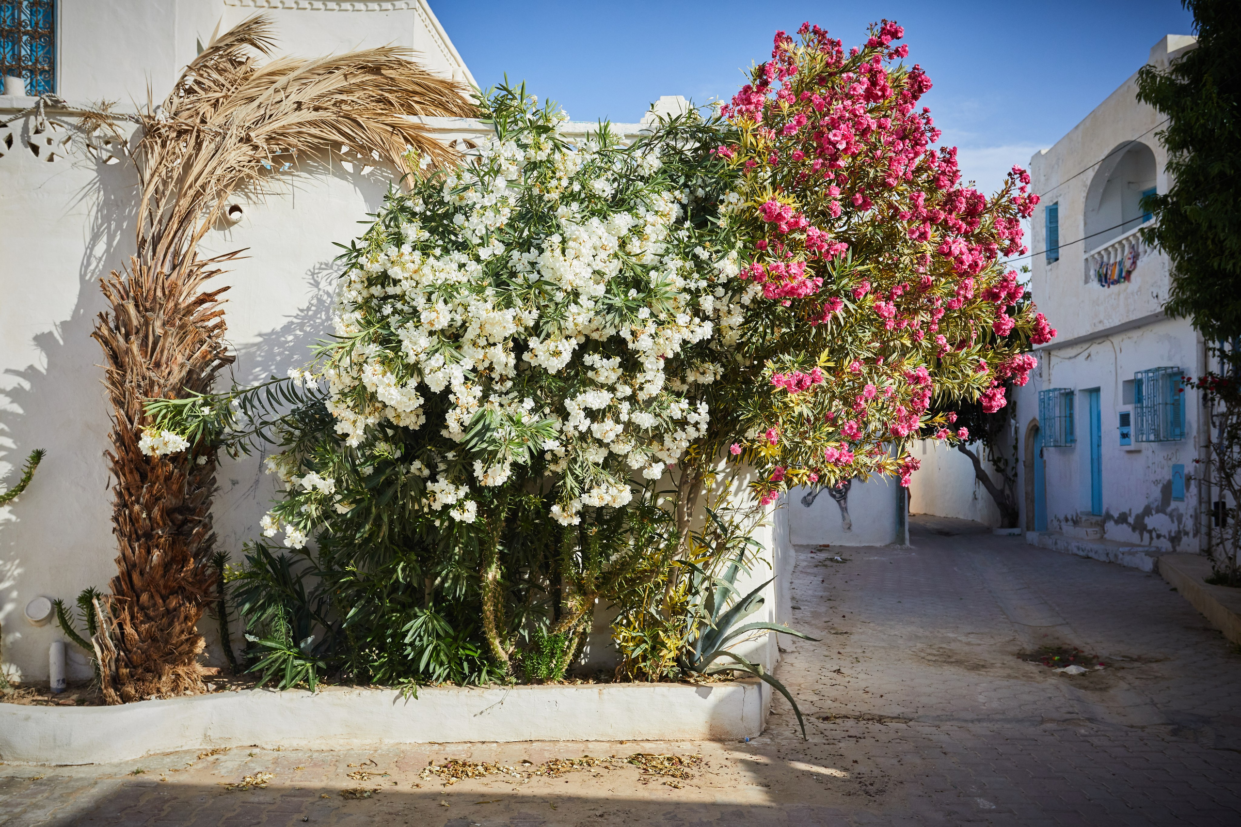 Тунис. Рекламный коммерческий фотограф в Москве Владимир Лукьянов