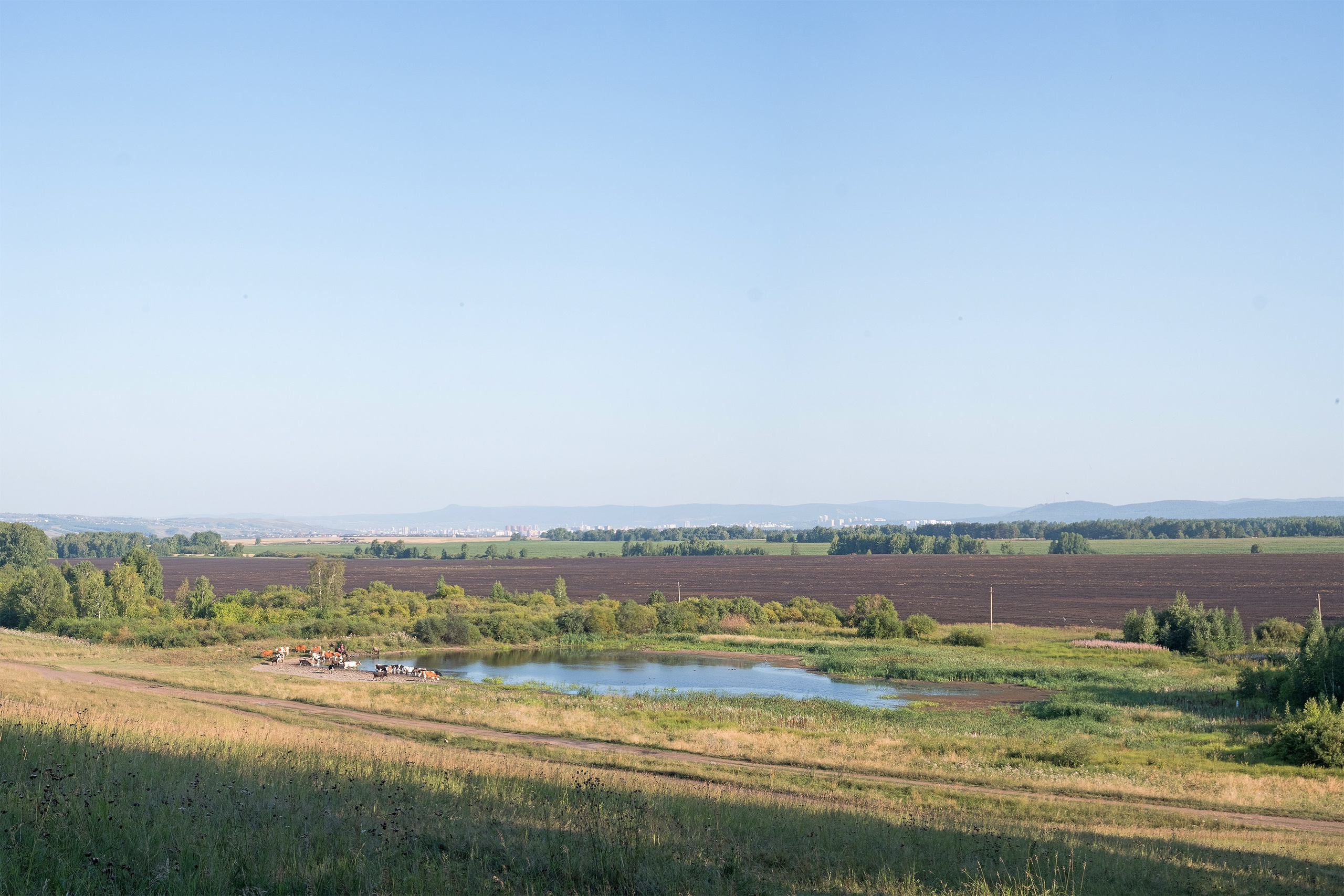 Landscapes. Стас Понятовский