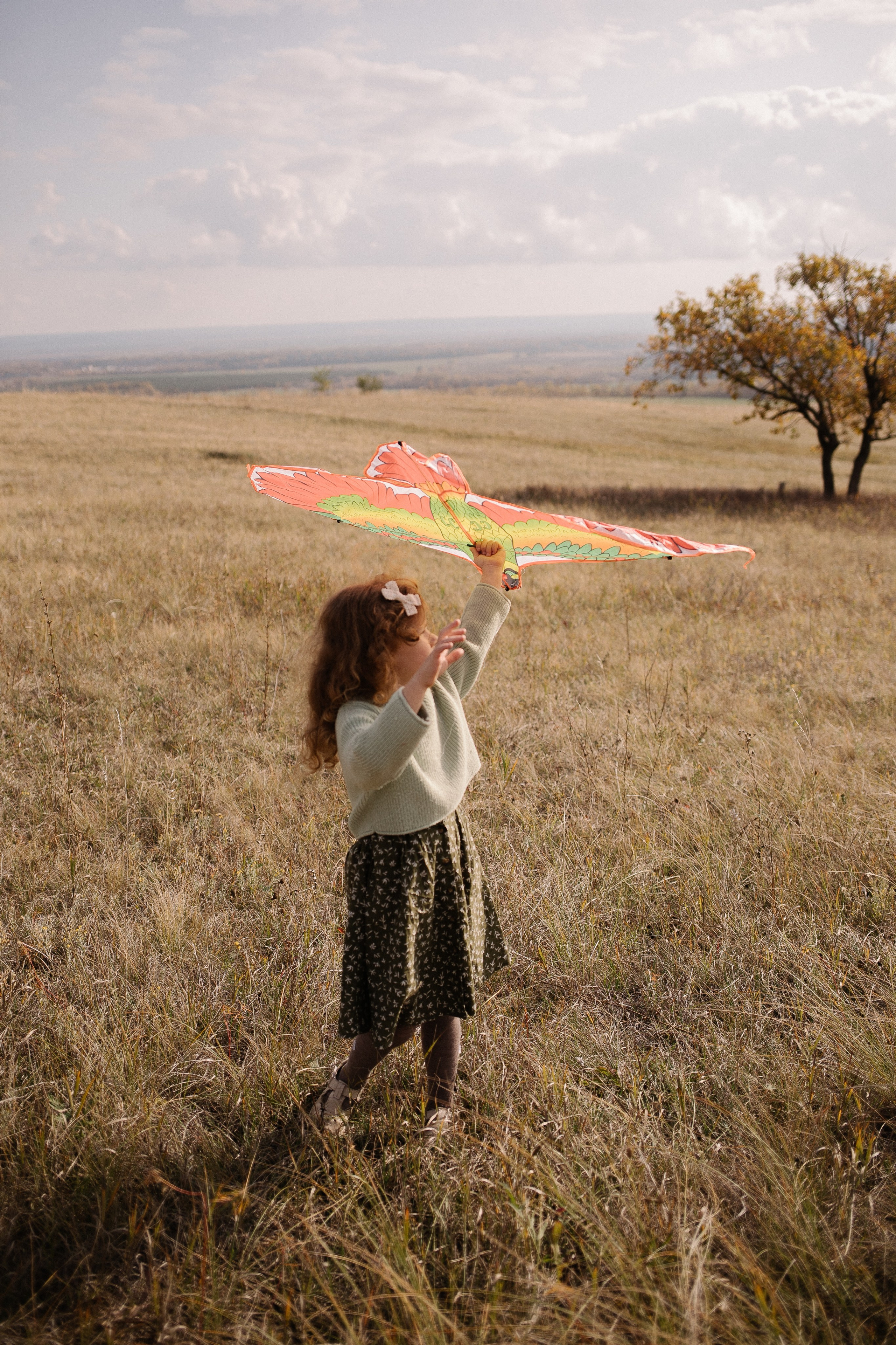 А давай запустим воздушного змея?. Семейный фотограф в Самаре