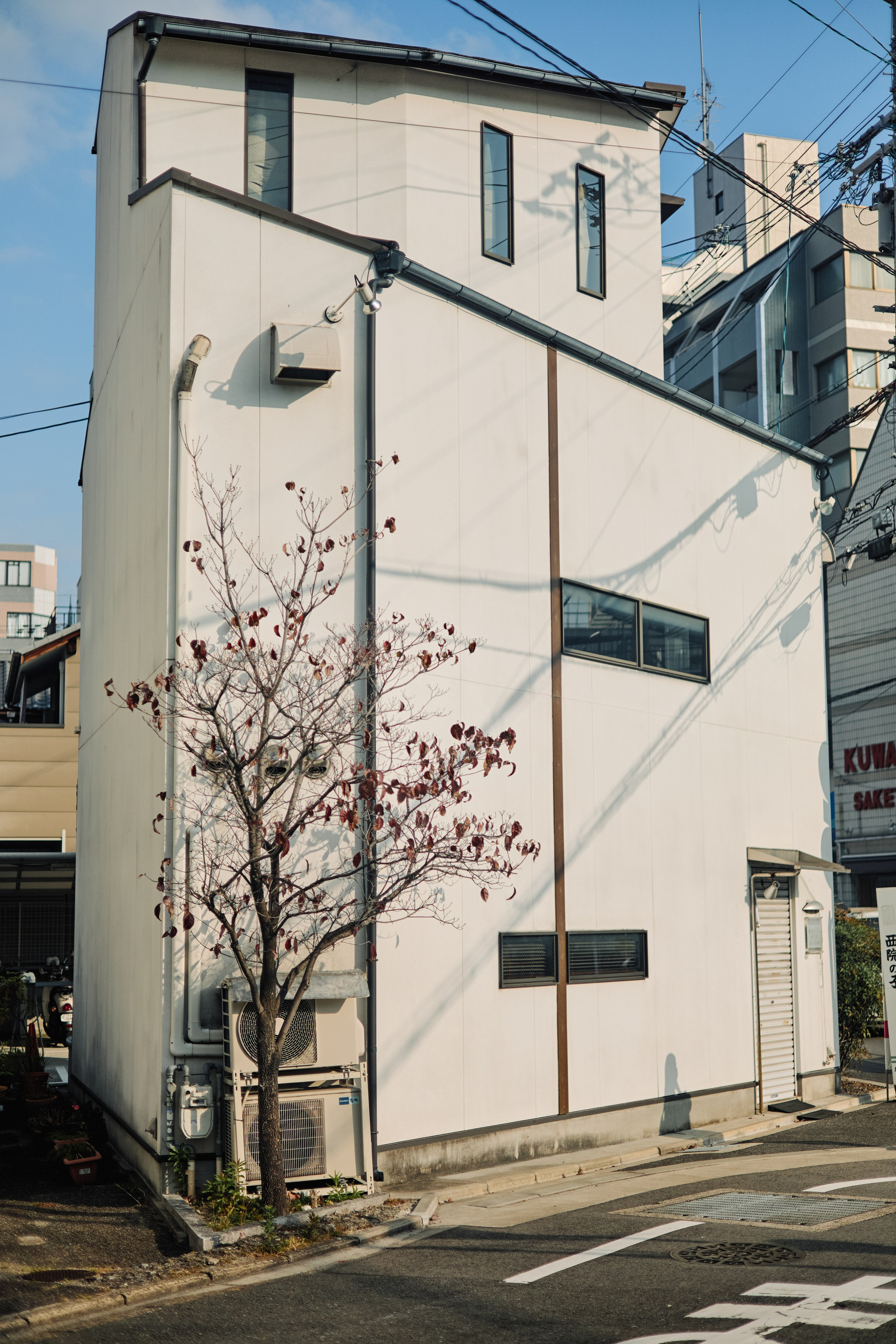 Япония. Профессиональный Фотограф во Владимире, в Москве и в Суздале — Полина Романычева