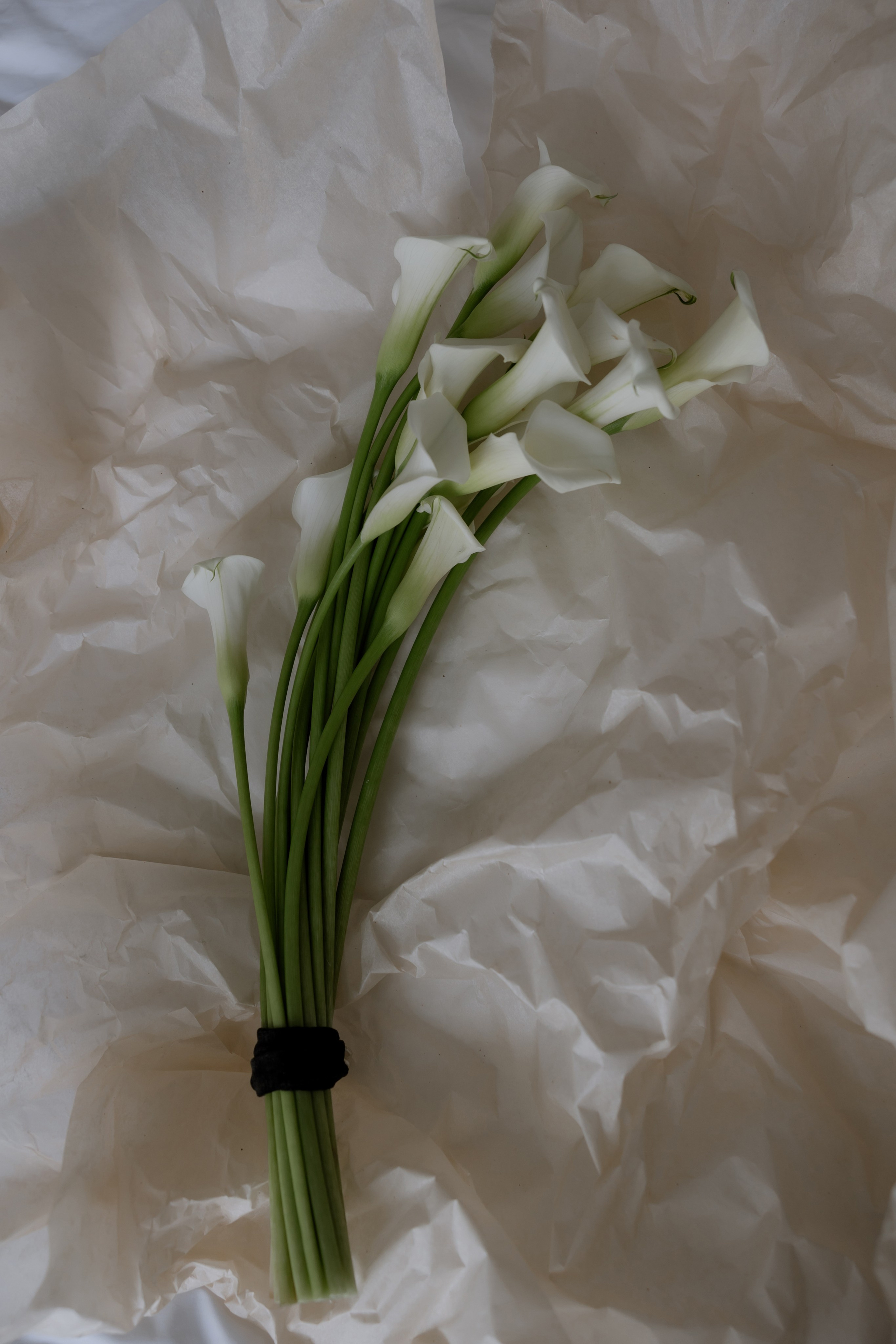 Свадебные букеты. Оформление свадеб, декор свадеб Вера Маркова, Москва