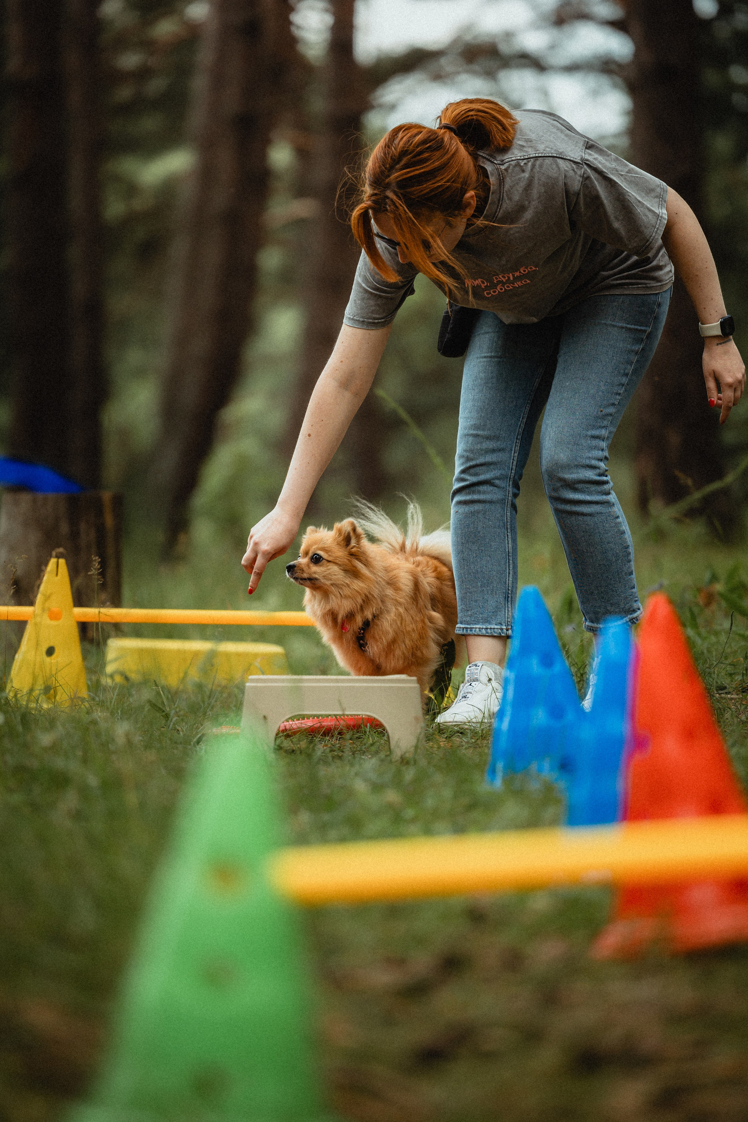 Выездной дог-тренинг от школы «Шерсть имею»