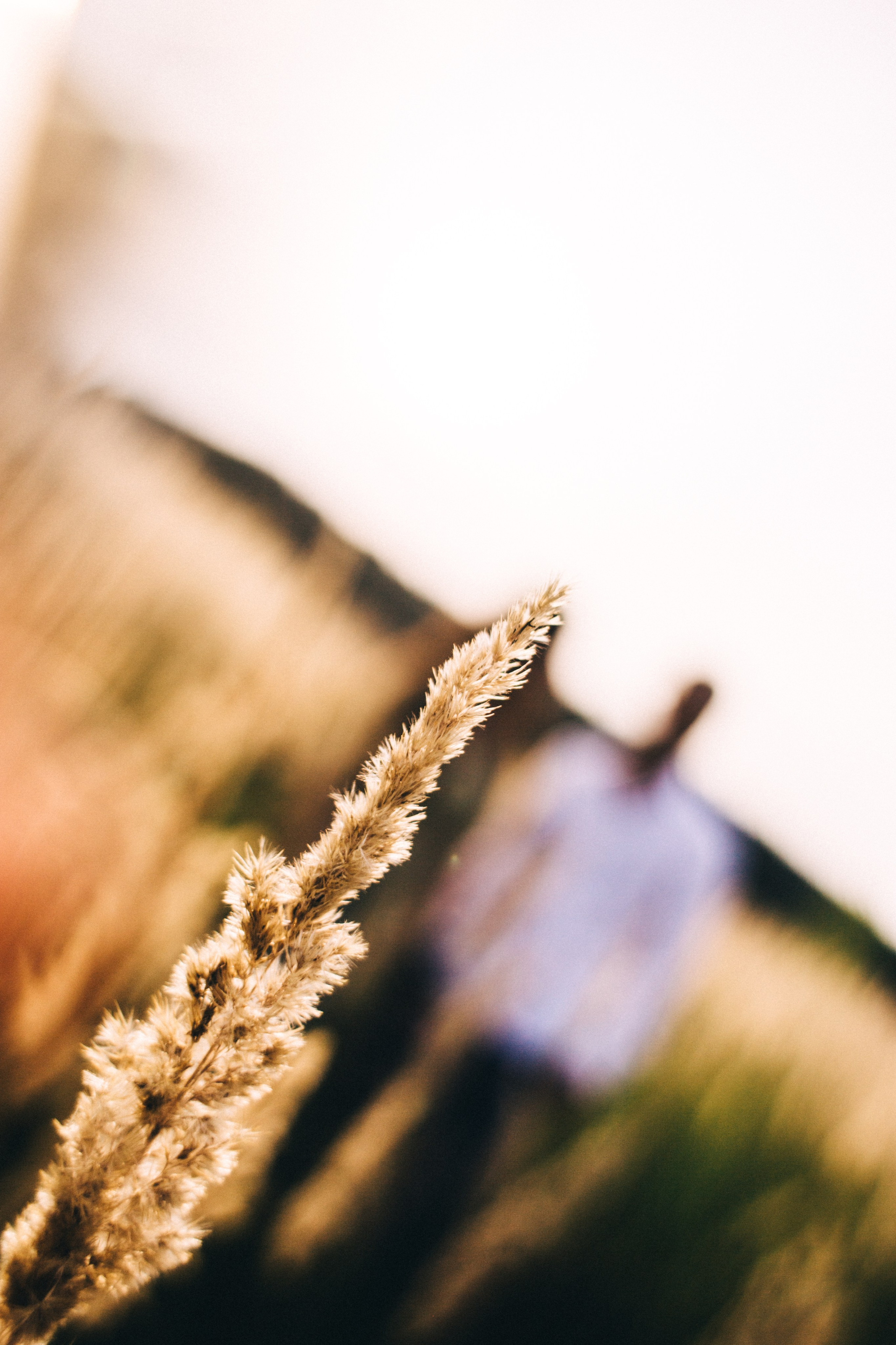 Н+ А. Поле. Закат. Фотограф в Нижнем Новгороде