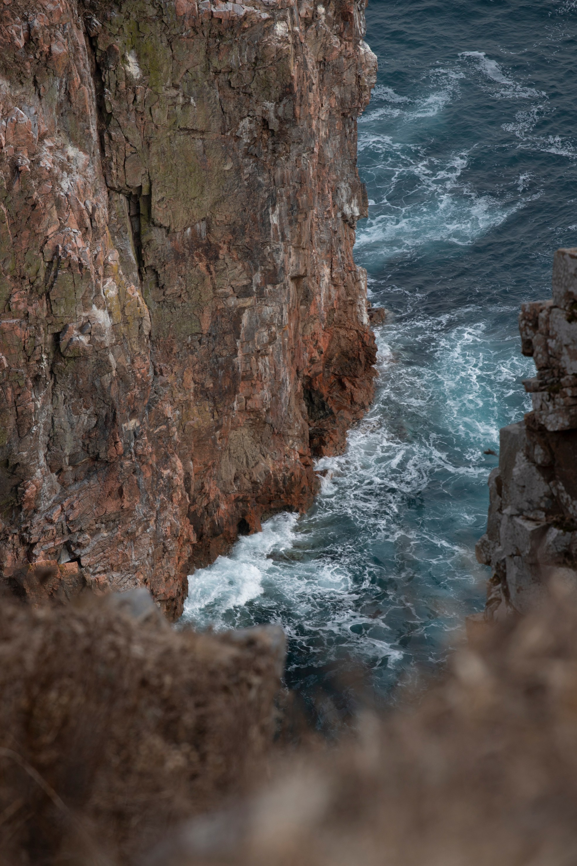 Природа. Команда фотографов Кристины Ивановой