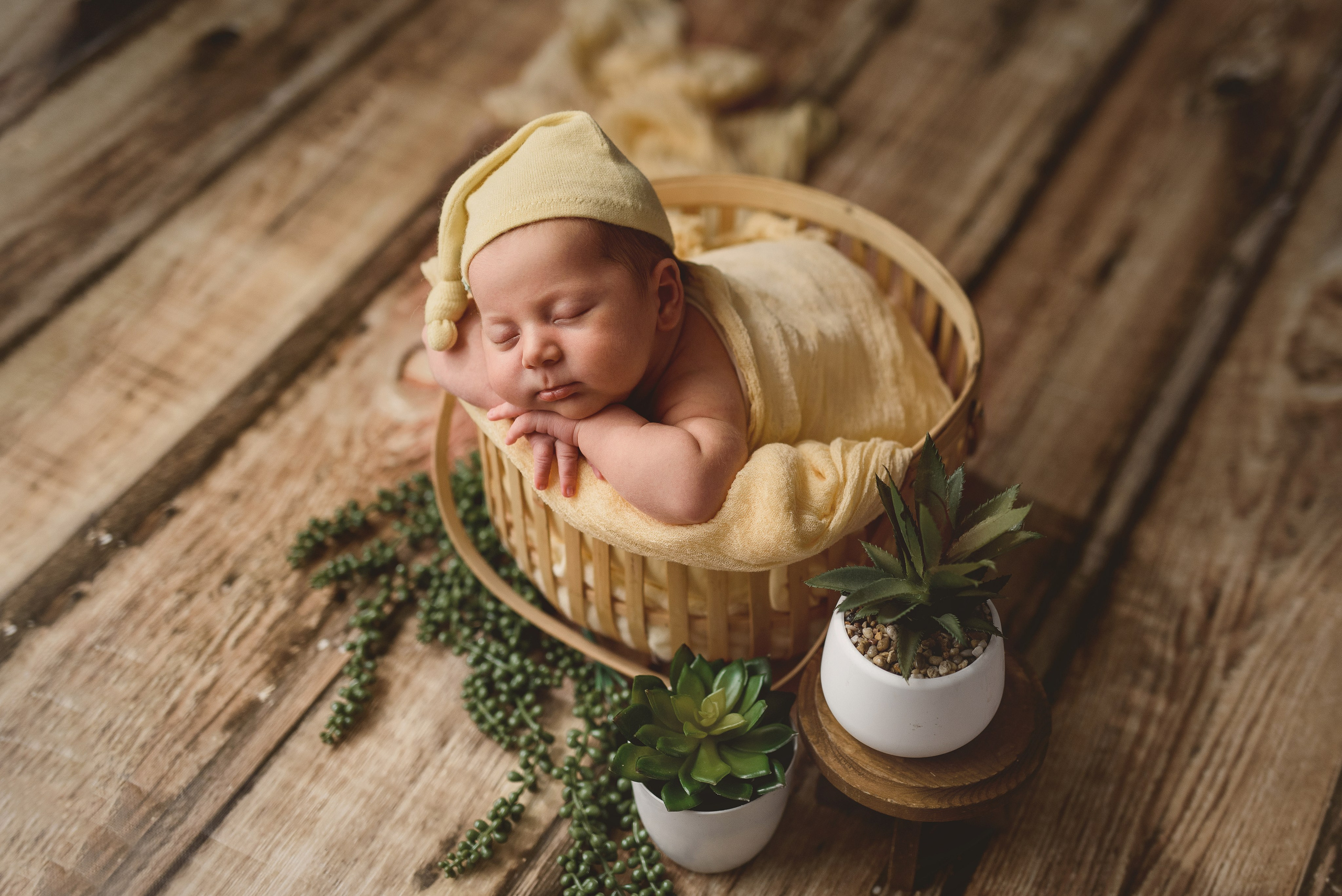 Новорожденные. Фотограф Шарыпово