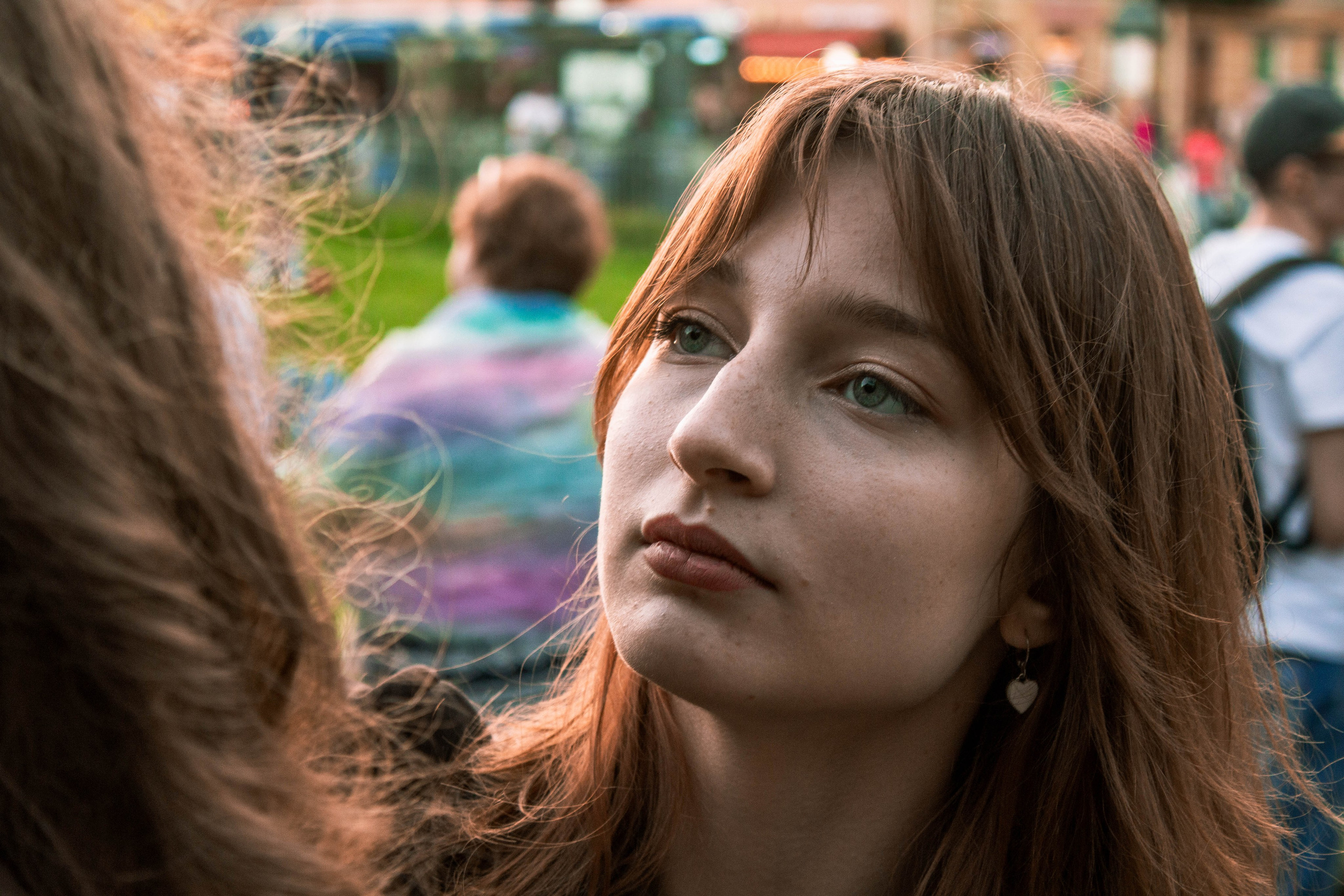 Сирень. Карпогоры, Санкт-Петербург