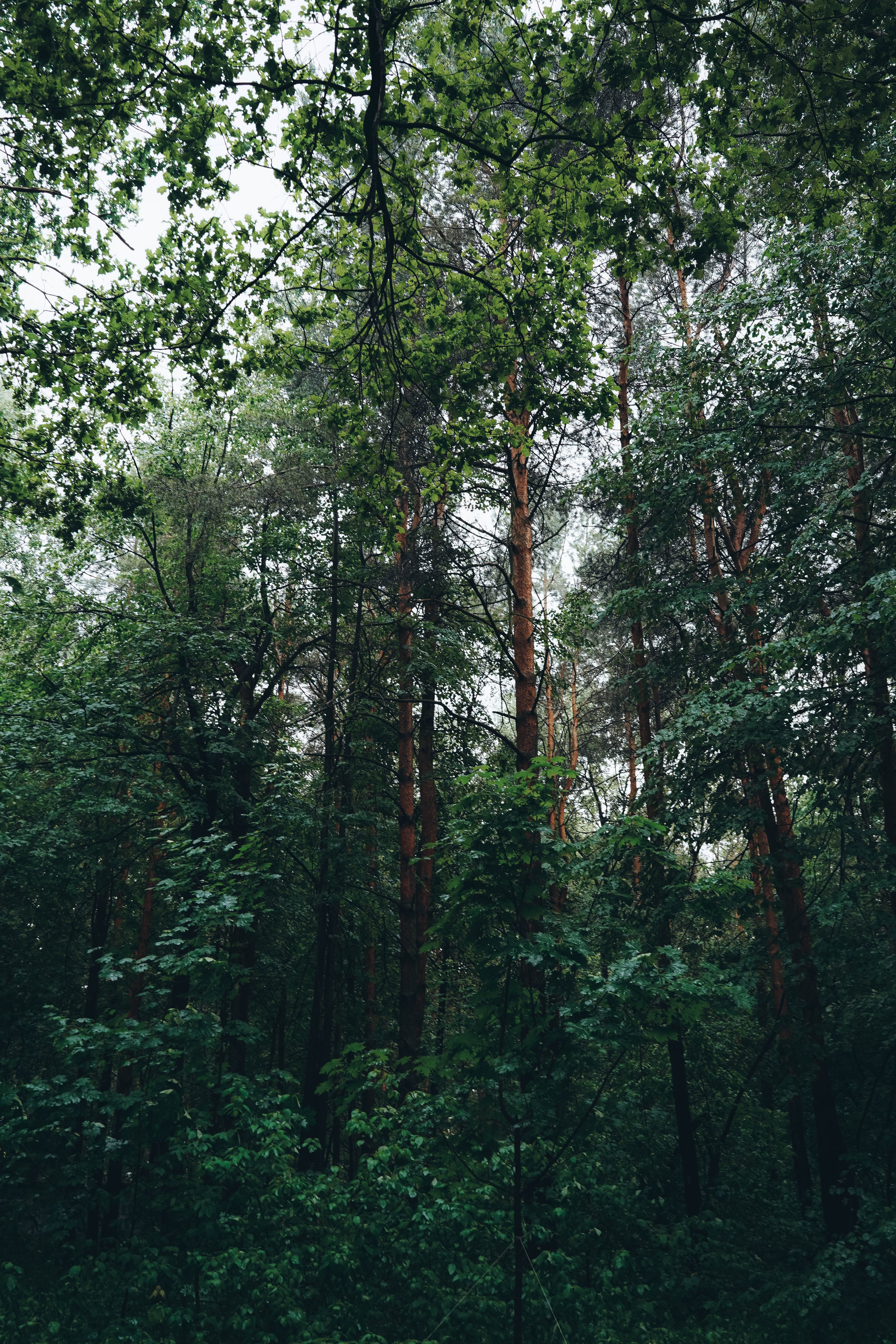 Ее тело — храм, мой Бог — свет. Семейный и свадебный фотограф