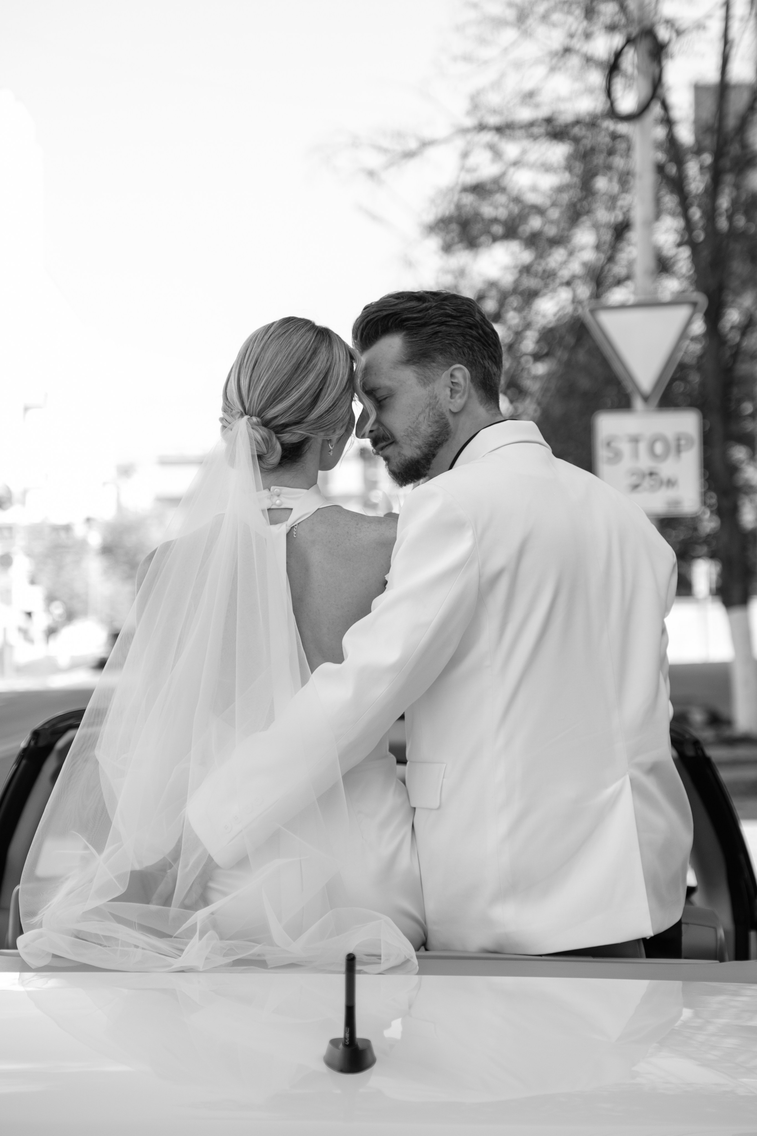 Alexander Alina. Wedding photographer