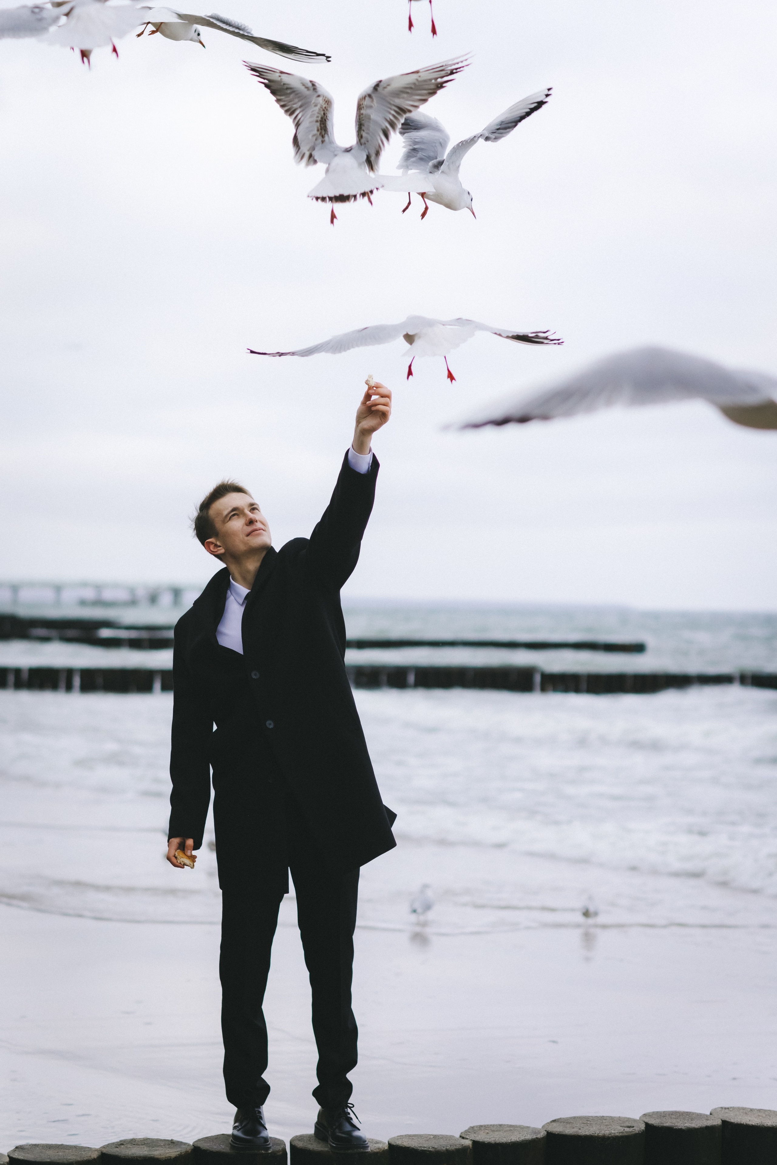 Свадьба в канун Нового года. Фотограф Зеленоградск Красильникова Елена