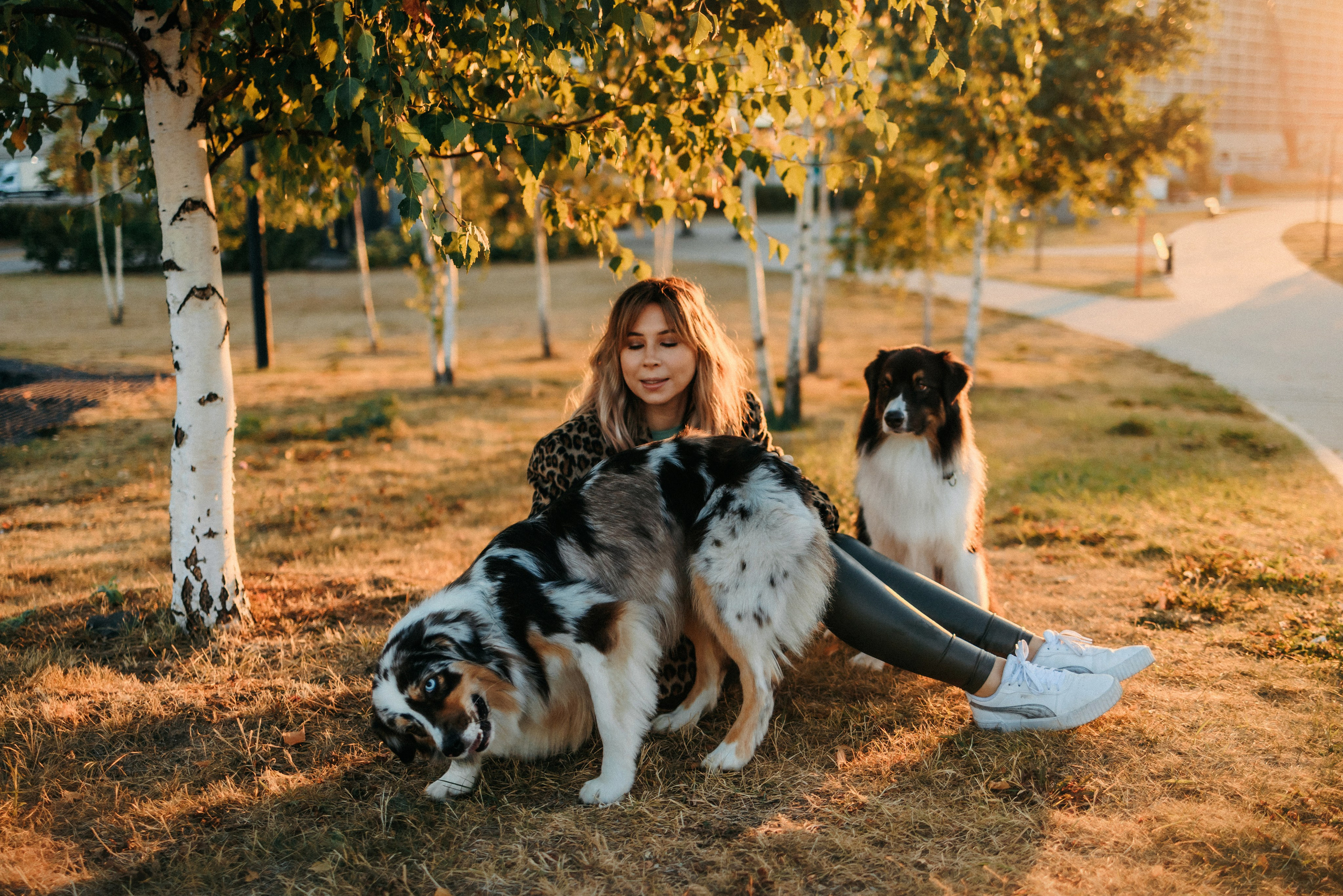 Аня, Чарли и Ева. Фотограф-анималист Елена Радченко, Москва