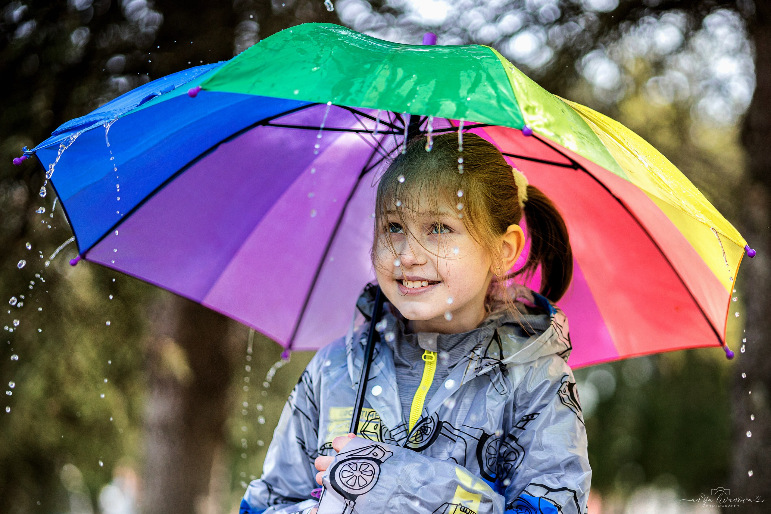 Солнышки. Фотограф анималист Аня Ливанова | Рыбинск