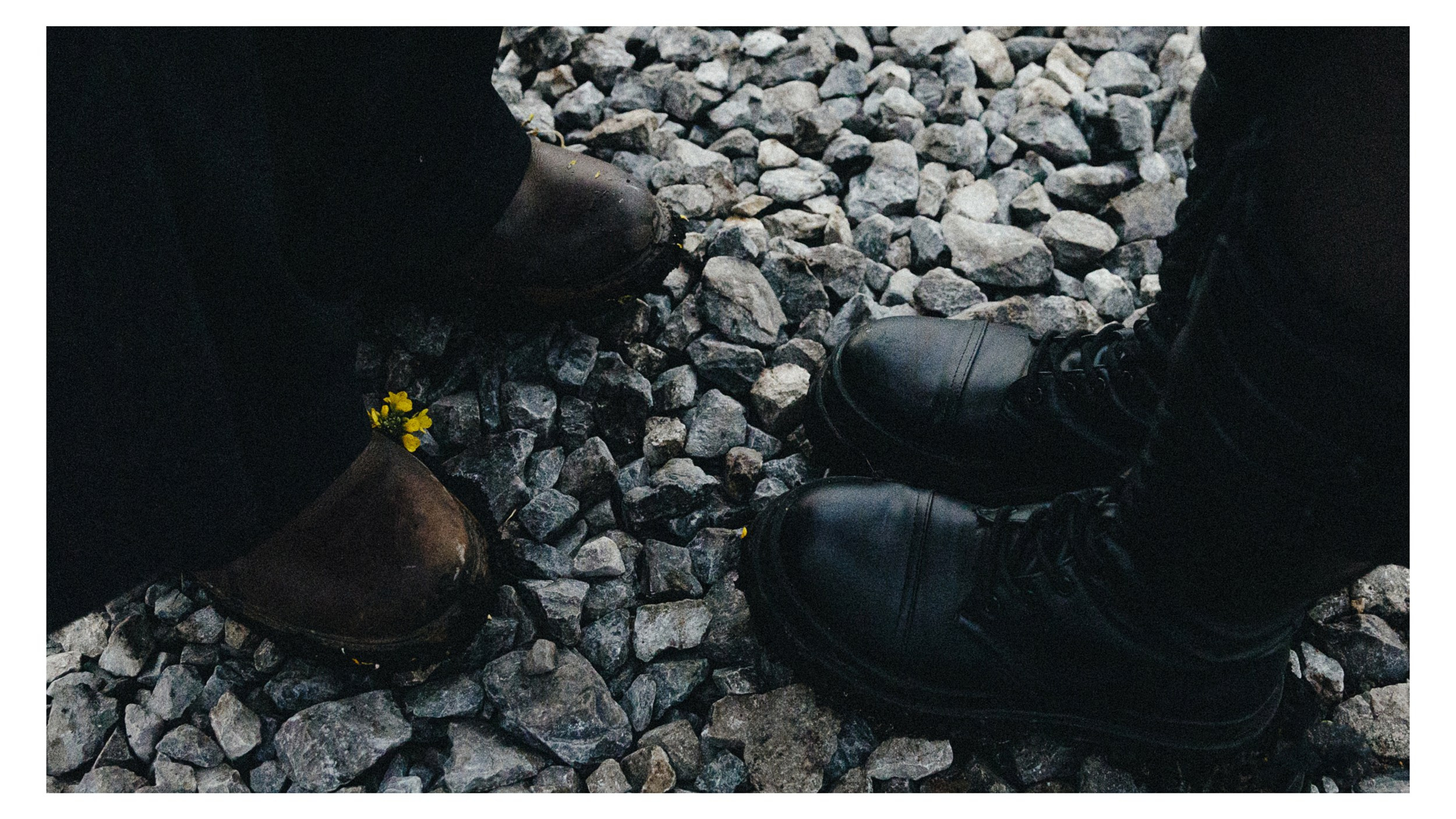 Алена и Костя | Love Story. Фотограф Александр Федоренко