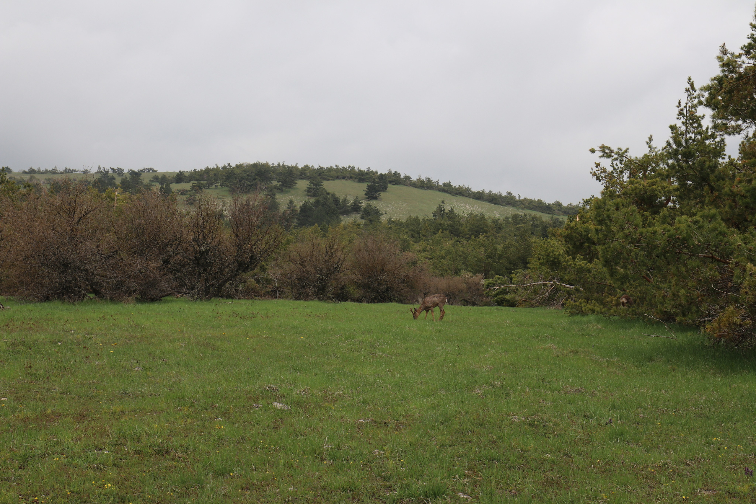 Крым. ЮБК (Бахчисарай, Демерджи, Судак). Первый скалолазный выезд. Май 2019. Путешественник-фотограф из Санкт-Петербурга Татьяна Свистулина