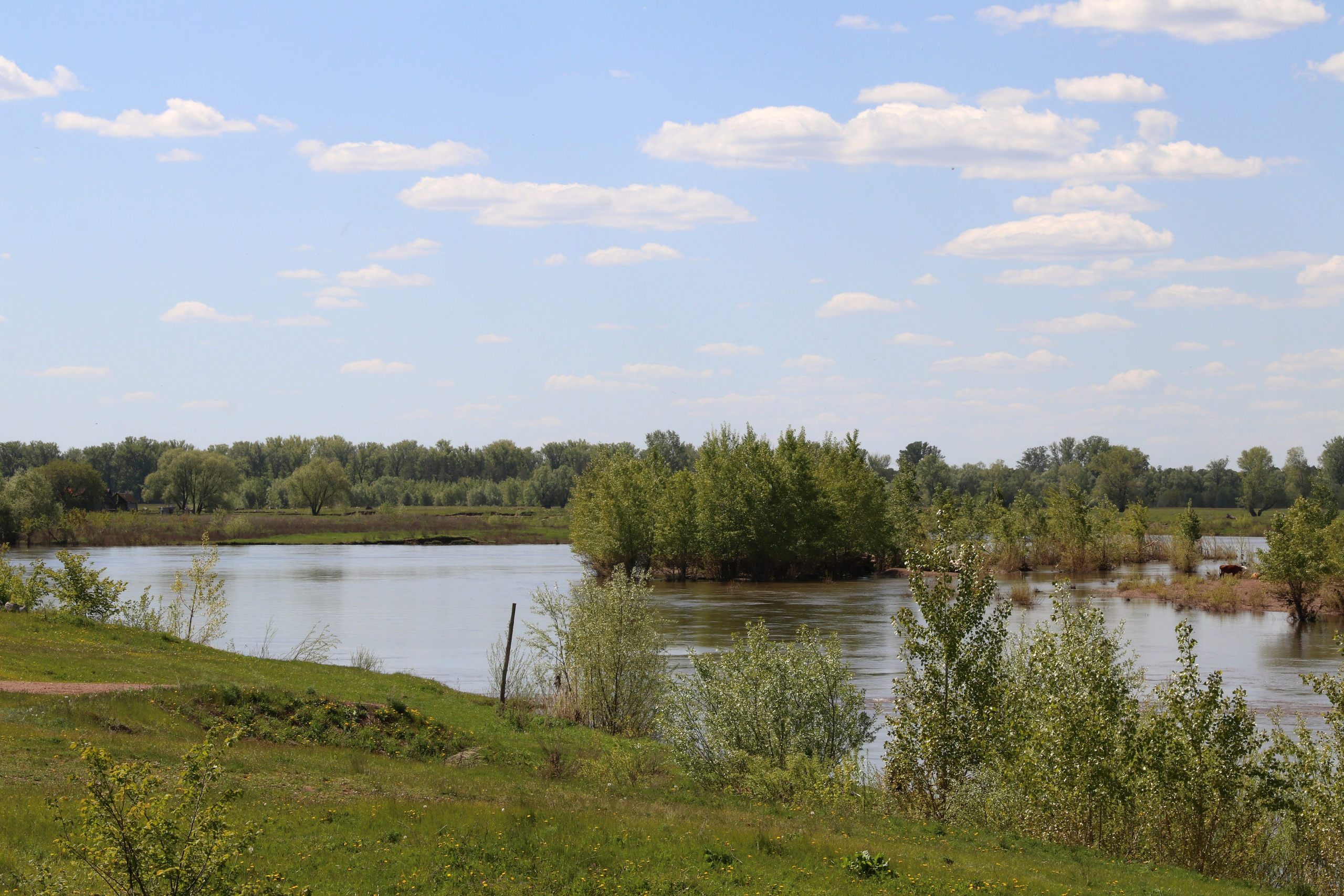 Велопоход Уфа — Мелеуз. Май 2024. Путешественник-фотограф из Санкт-Петербурга Татьяна Свистулина