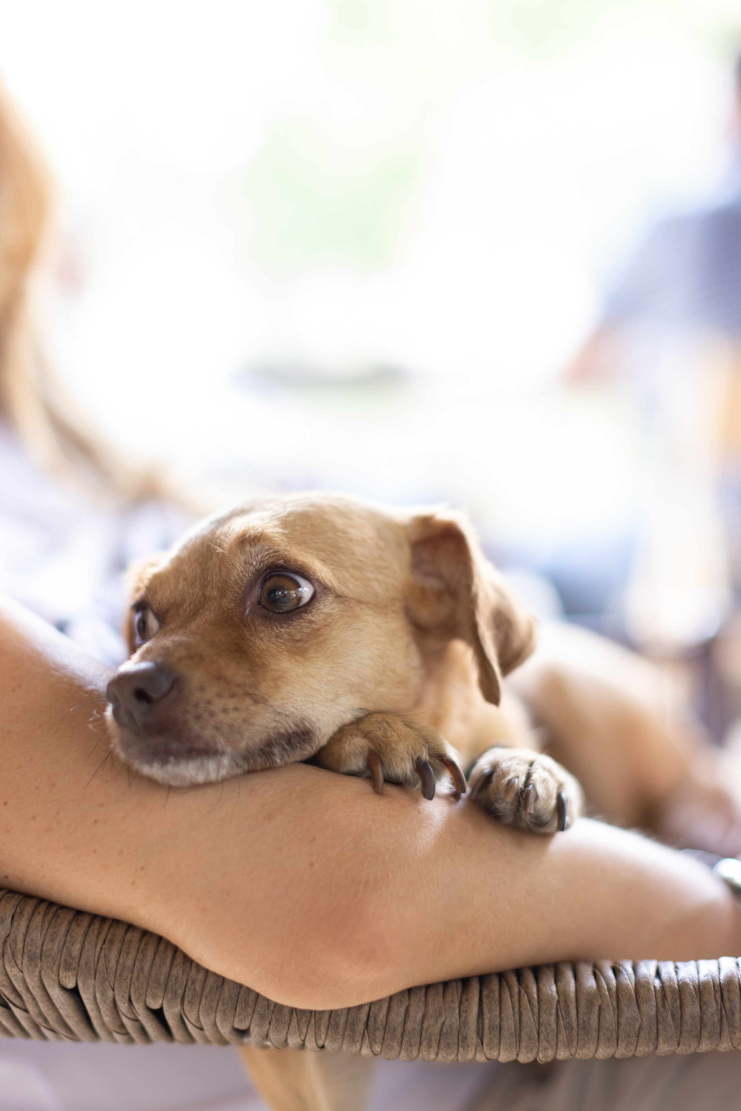 Детские праздники. Фотограф Наталья Угрюмова, г. Москва