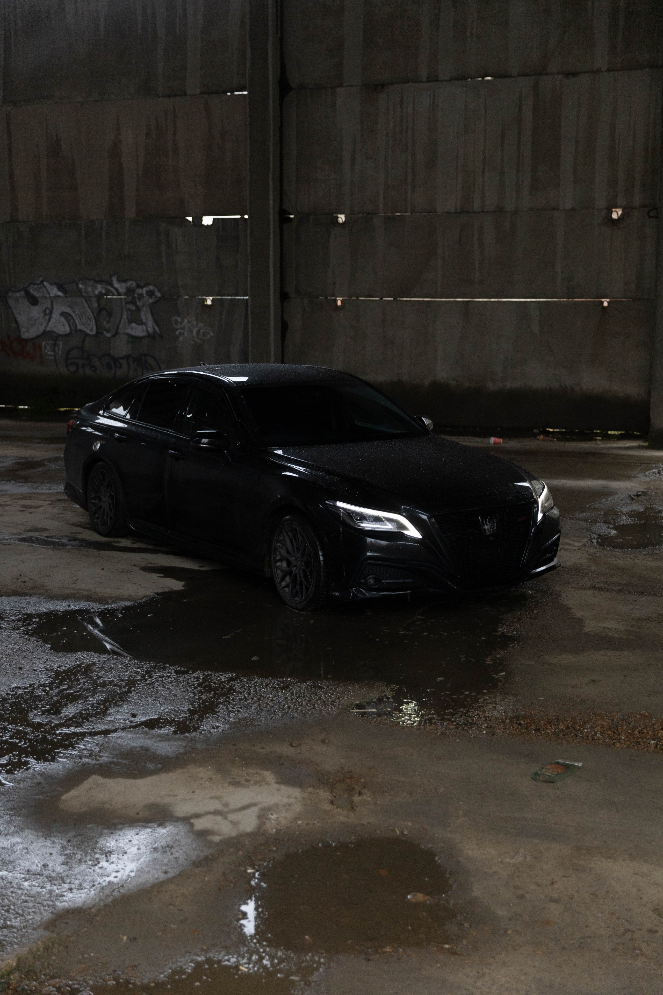 CROWS. Репортажный фотограф в Иркутске — Ярослав Ковалёв