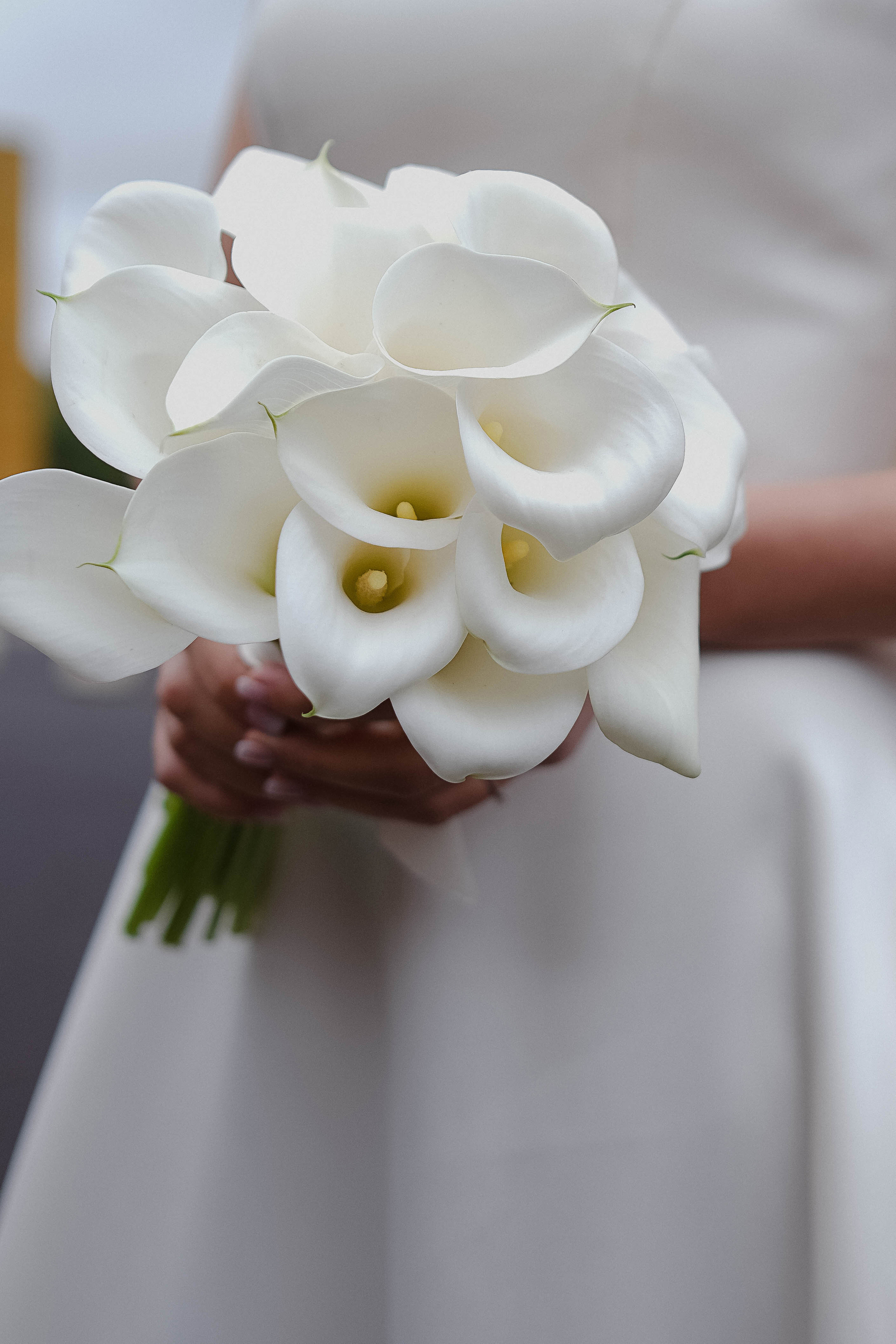 Марина и Алексей. Фотограф Одинцово Нина Ленс