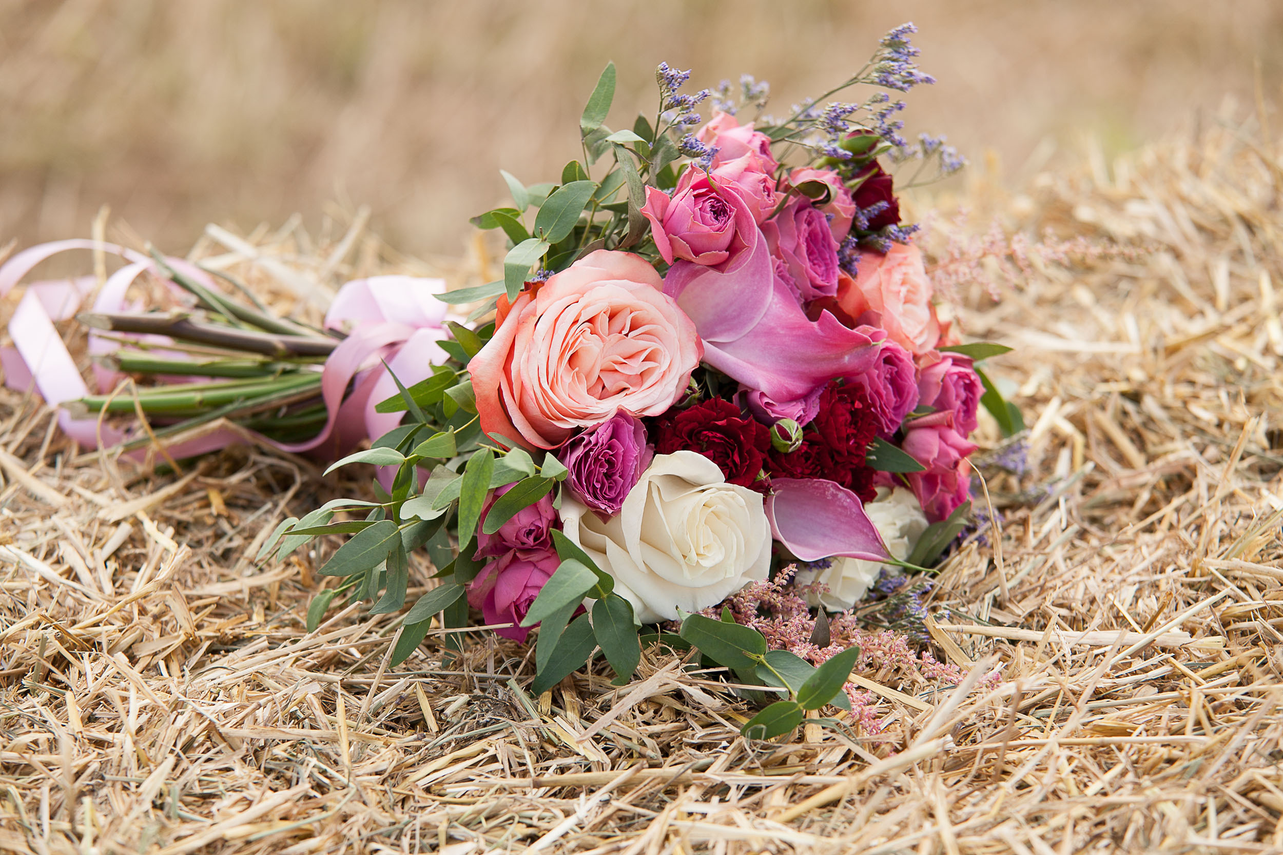 Фотограф на свадьбу | Вологда