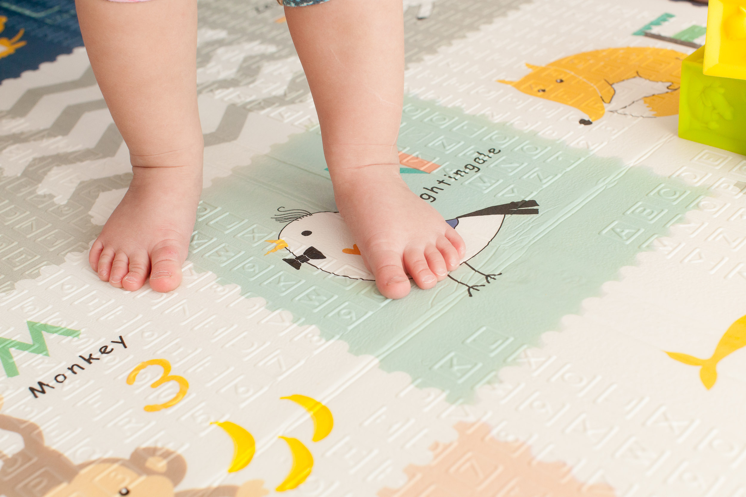 Предметная съемка в Вологде